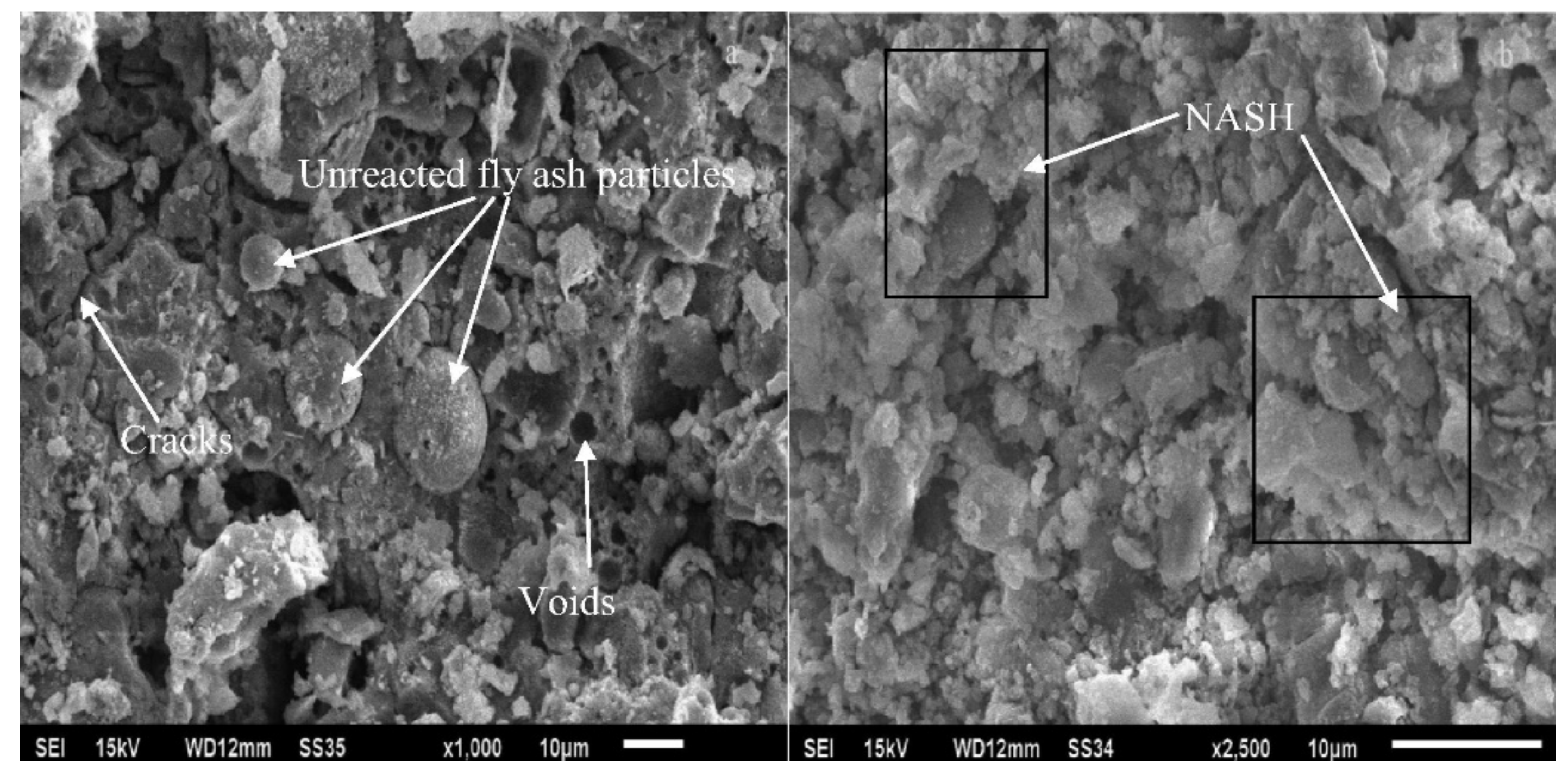 Polymers 14 00868 g021