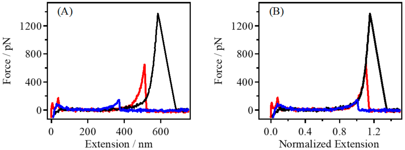 Polymers 14 00869 g001