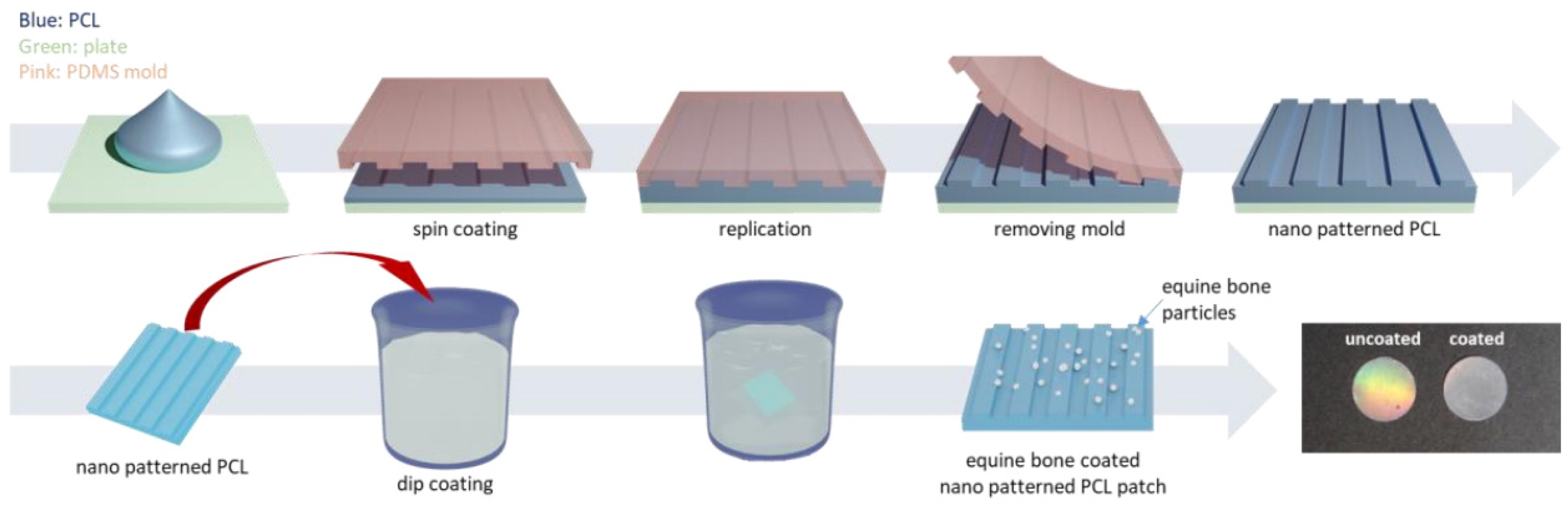 Polymers 14 00871 g005