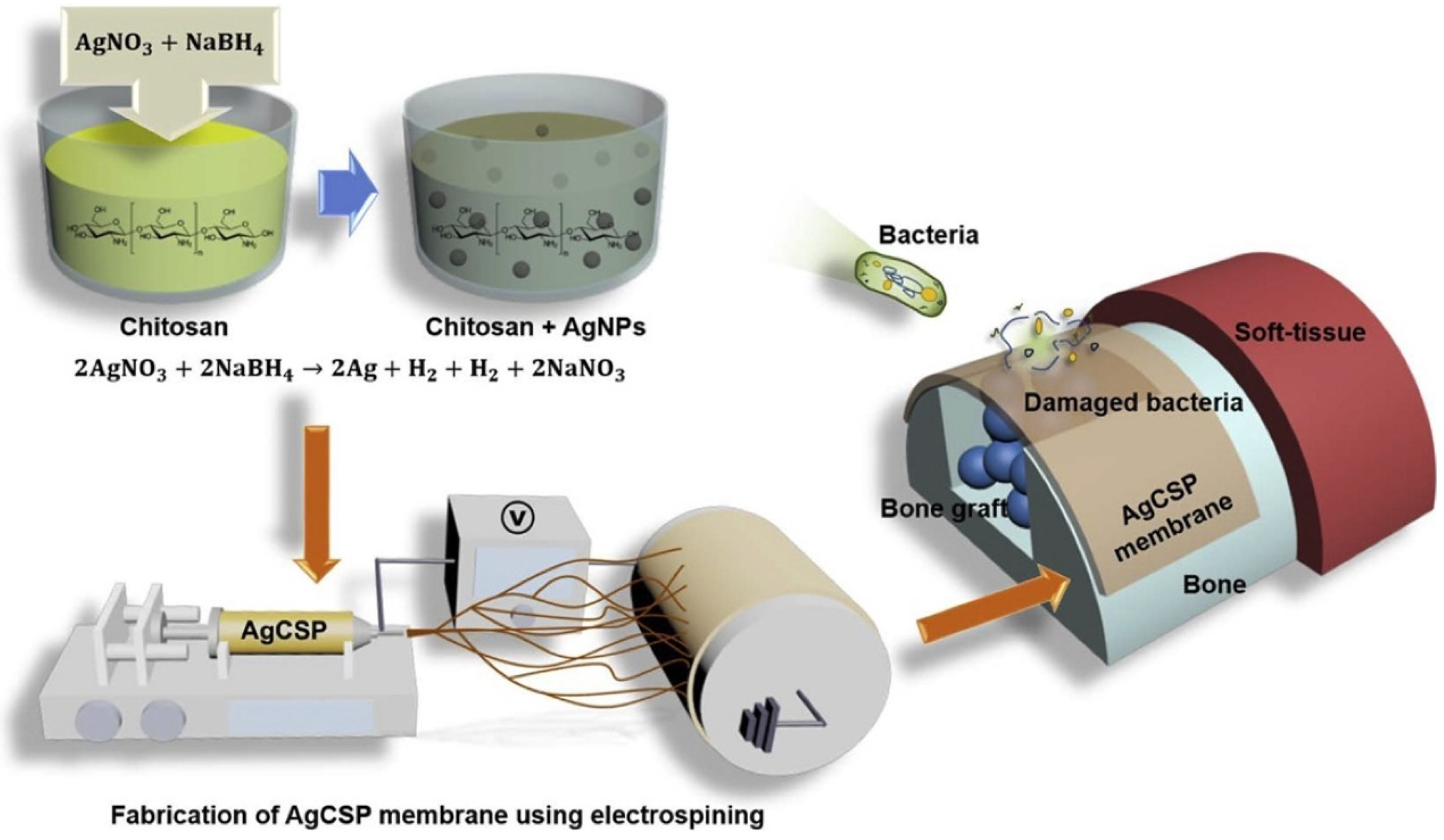 Polymers 14 00871 g007