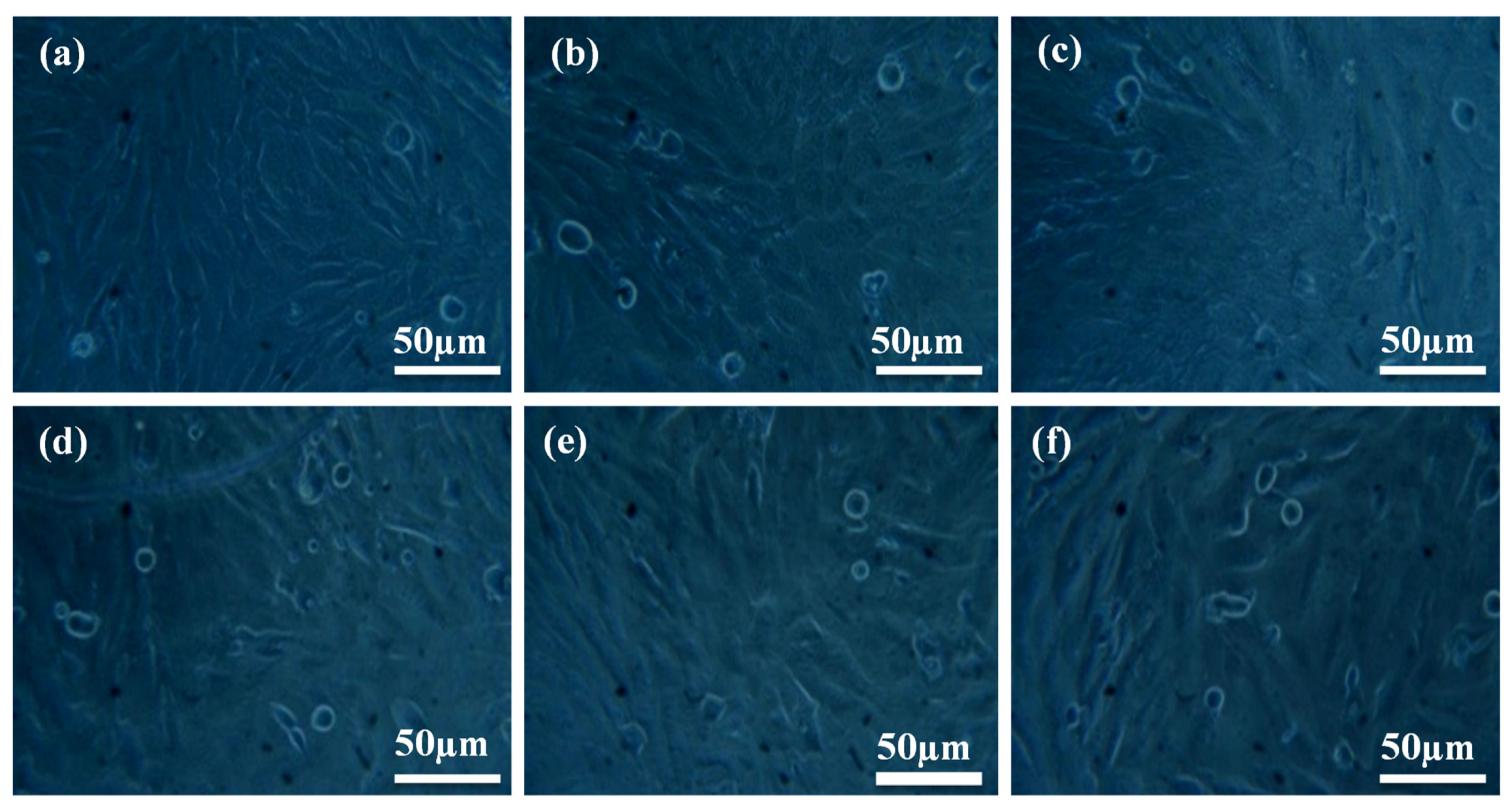 Polymers 14 00872 g009