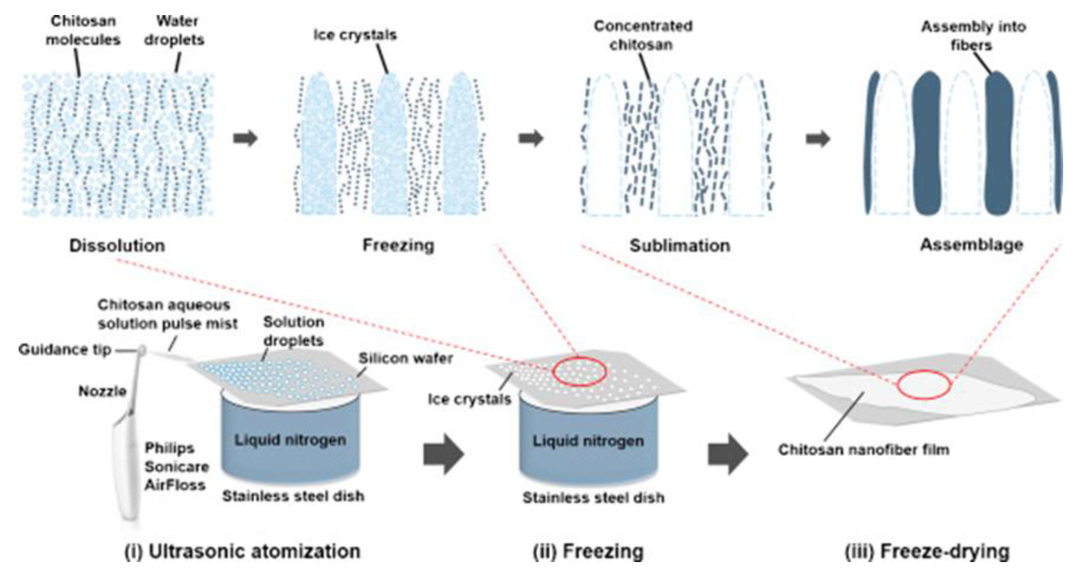 Polymers 14 00874 g007 Polymers 14 00874 g007
