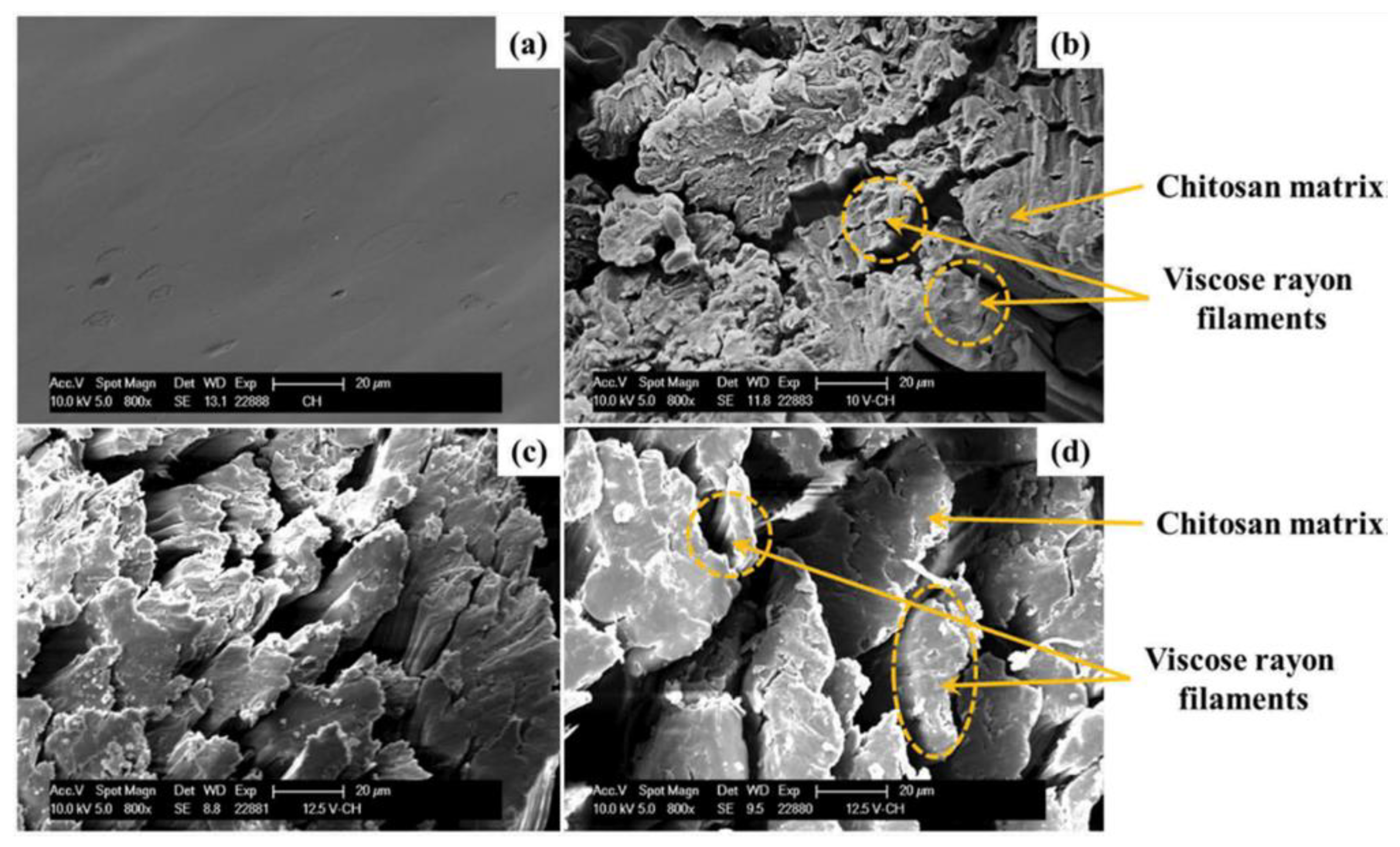 Polymers 14 00874 g013 Polymers 14 00874 g013