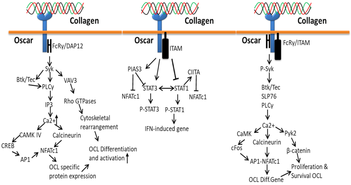 Polymers 14 00876 g009 Polymers 14 00876 g009