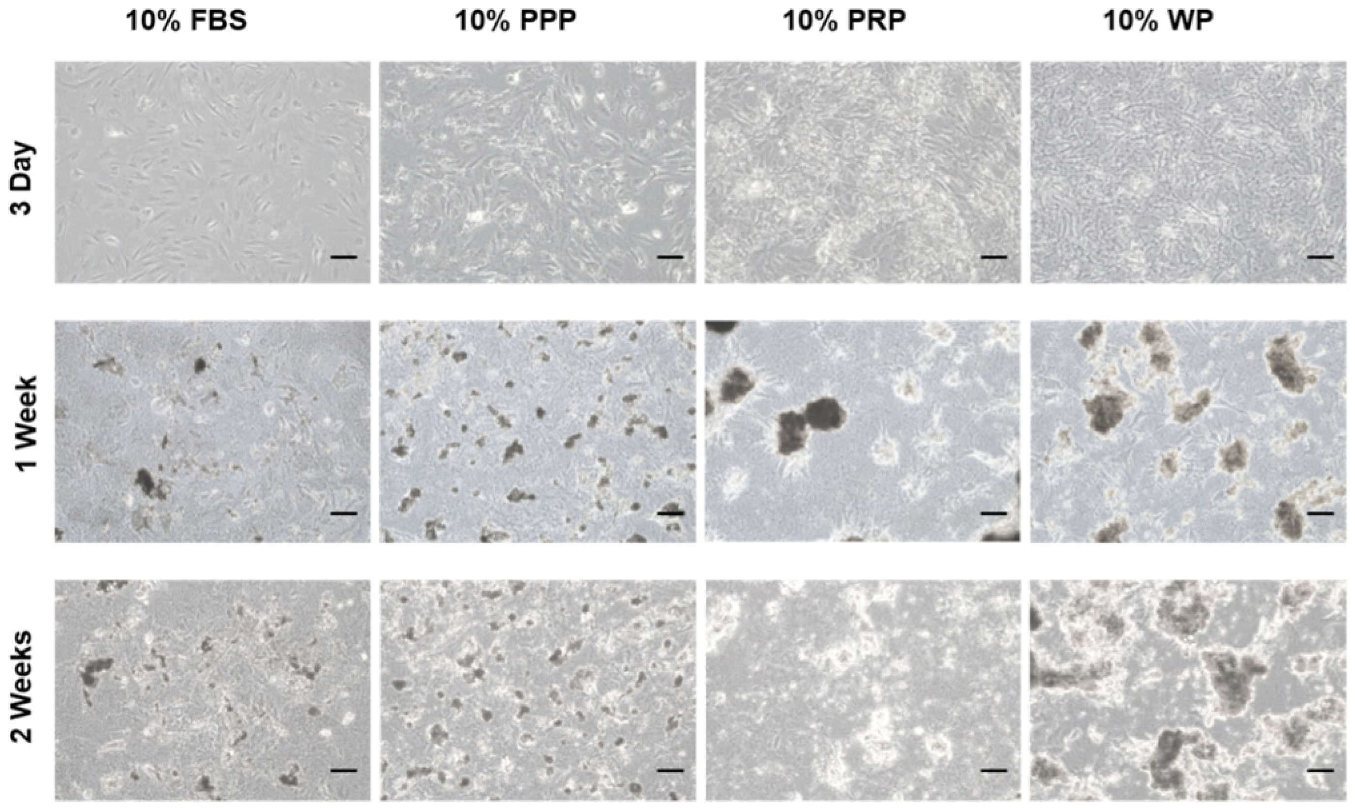 Polymers 14 00877 g003 Polymers 14 00877 g003