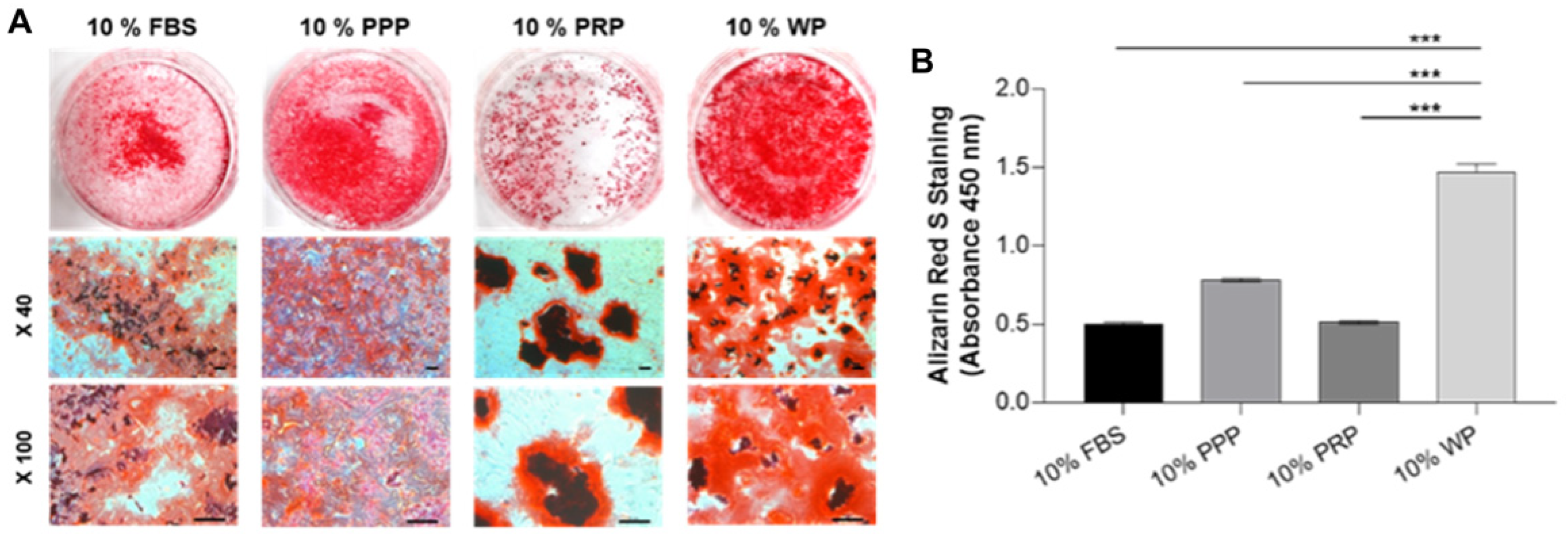Polymers 14 00877 g004 Polymers 14 00877 g004
