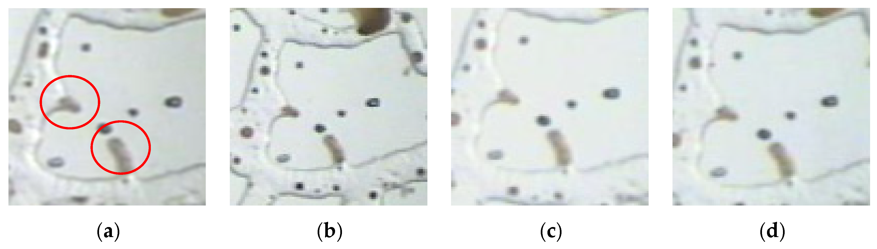 Polymers 14 00878 g005 Polymers 14 00878 g005