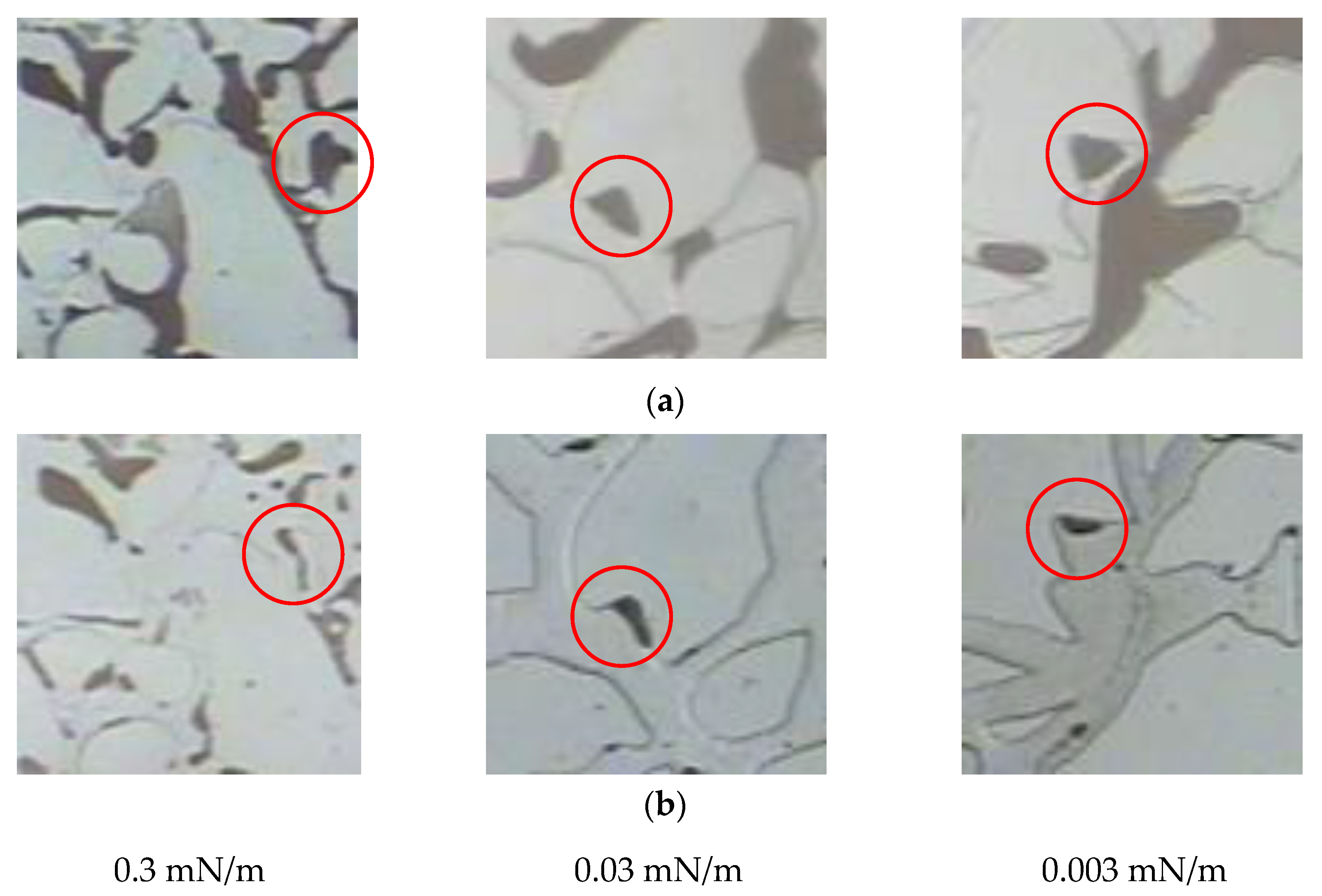 Polymers 14 00878 g008 Polymers 14 00878 g008