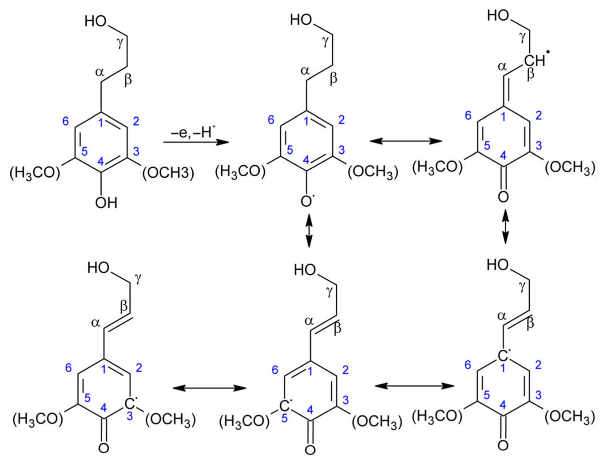 Polymers 14 00881 g002 Polymers 14 00881 g002