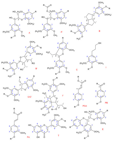 Lignocellulosic Materials for the Production of Biofuels