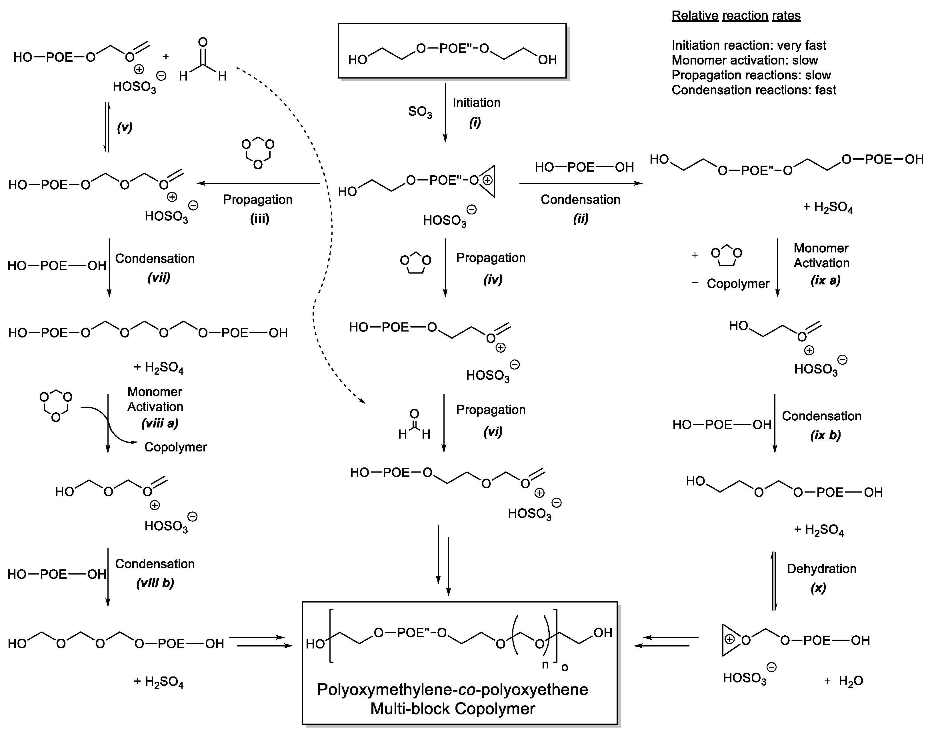 Polymers 14 00882 sch006
