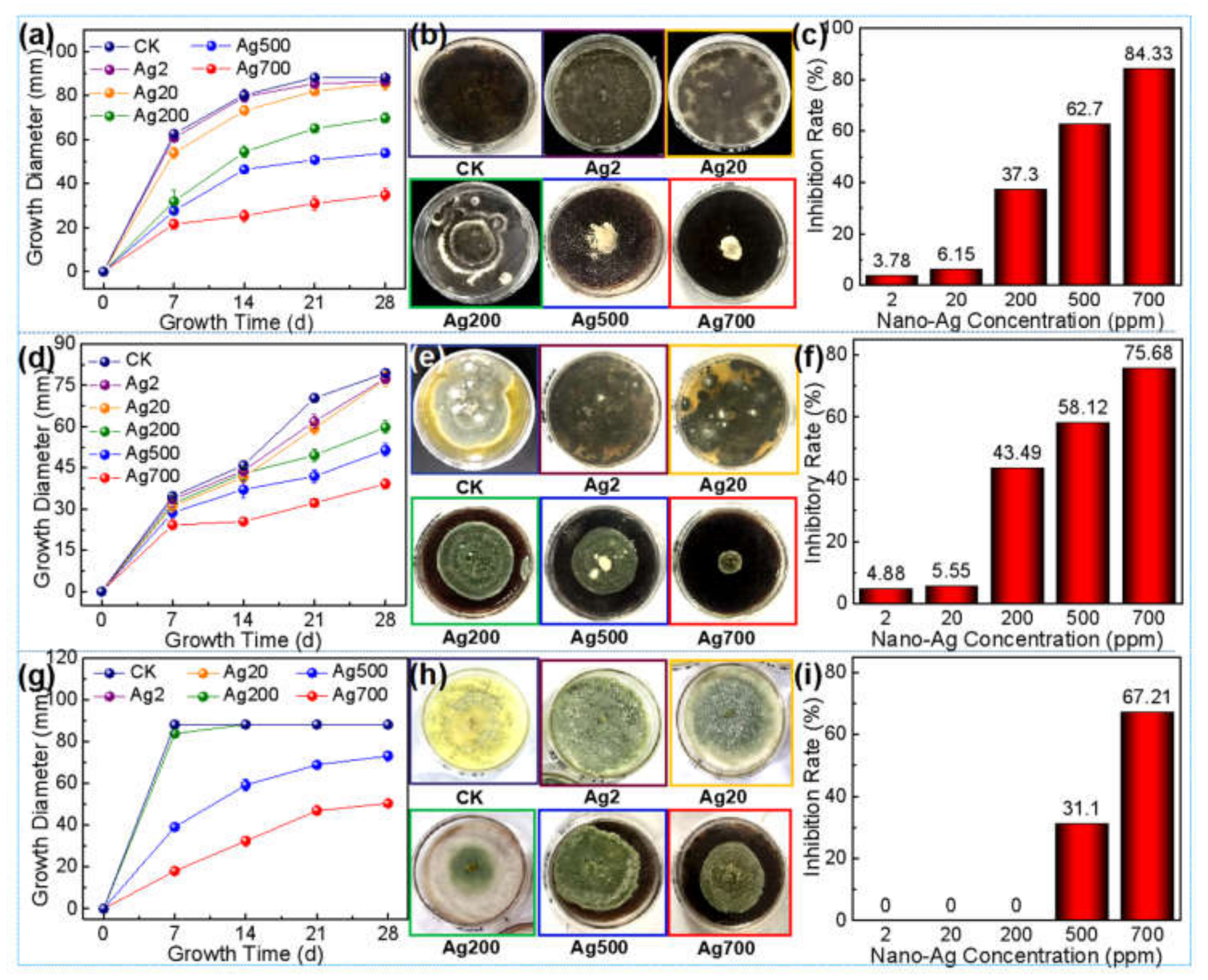 Polymers 14 00884 g001 550
