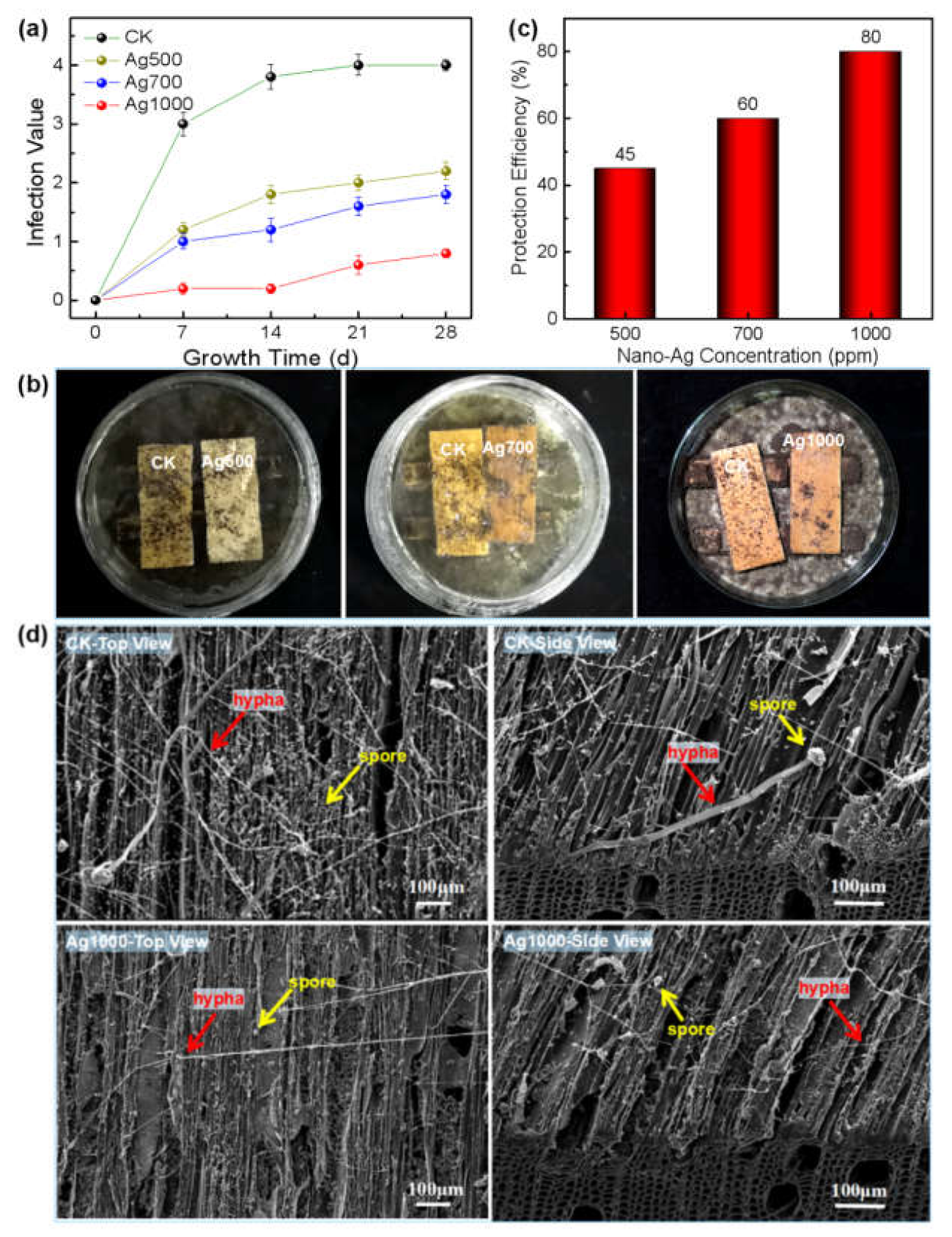 Polymers 14 00884 g003 550