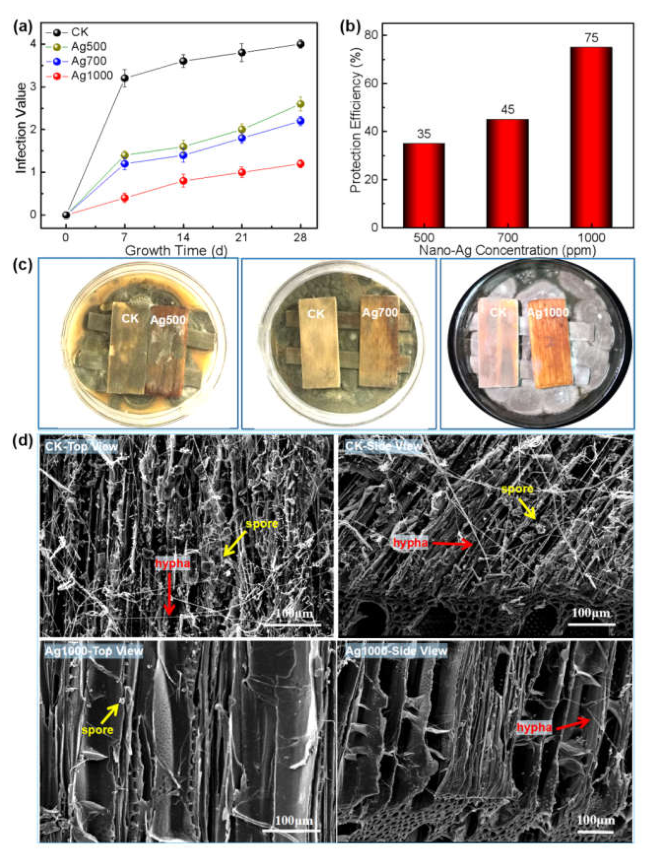 Polymers 14 00884 g004 550
