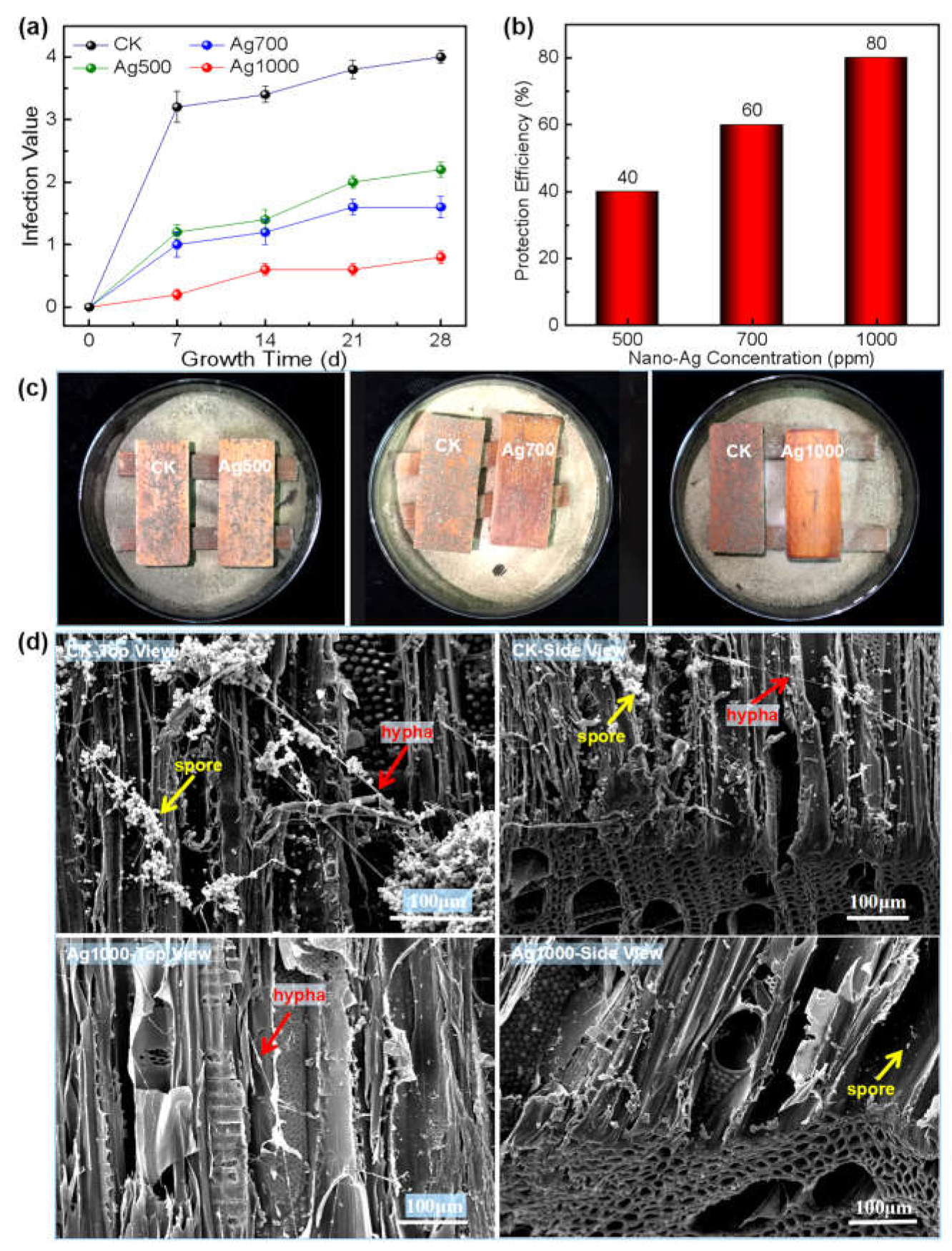Polymers 14 00884 g005 550