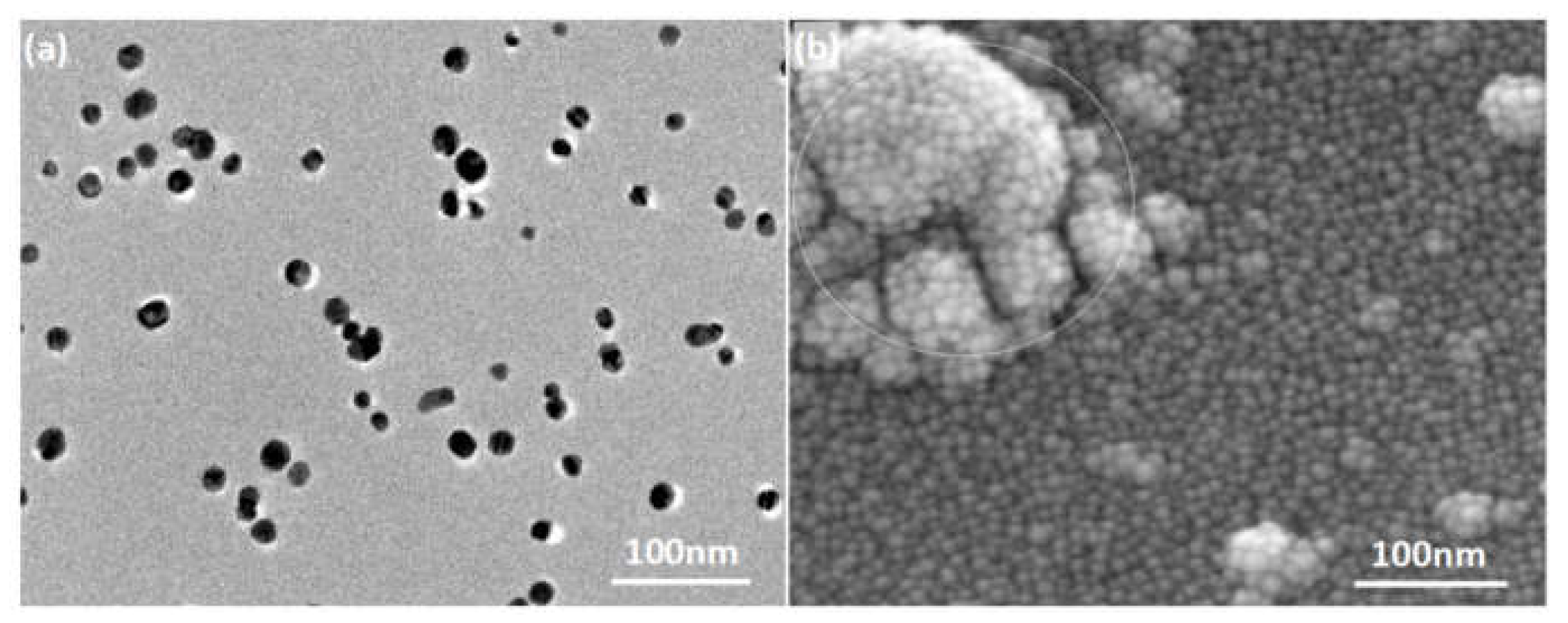 Polymers 14 00884 g006 550