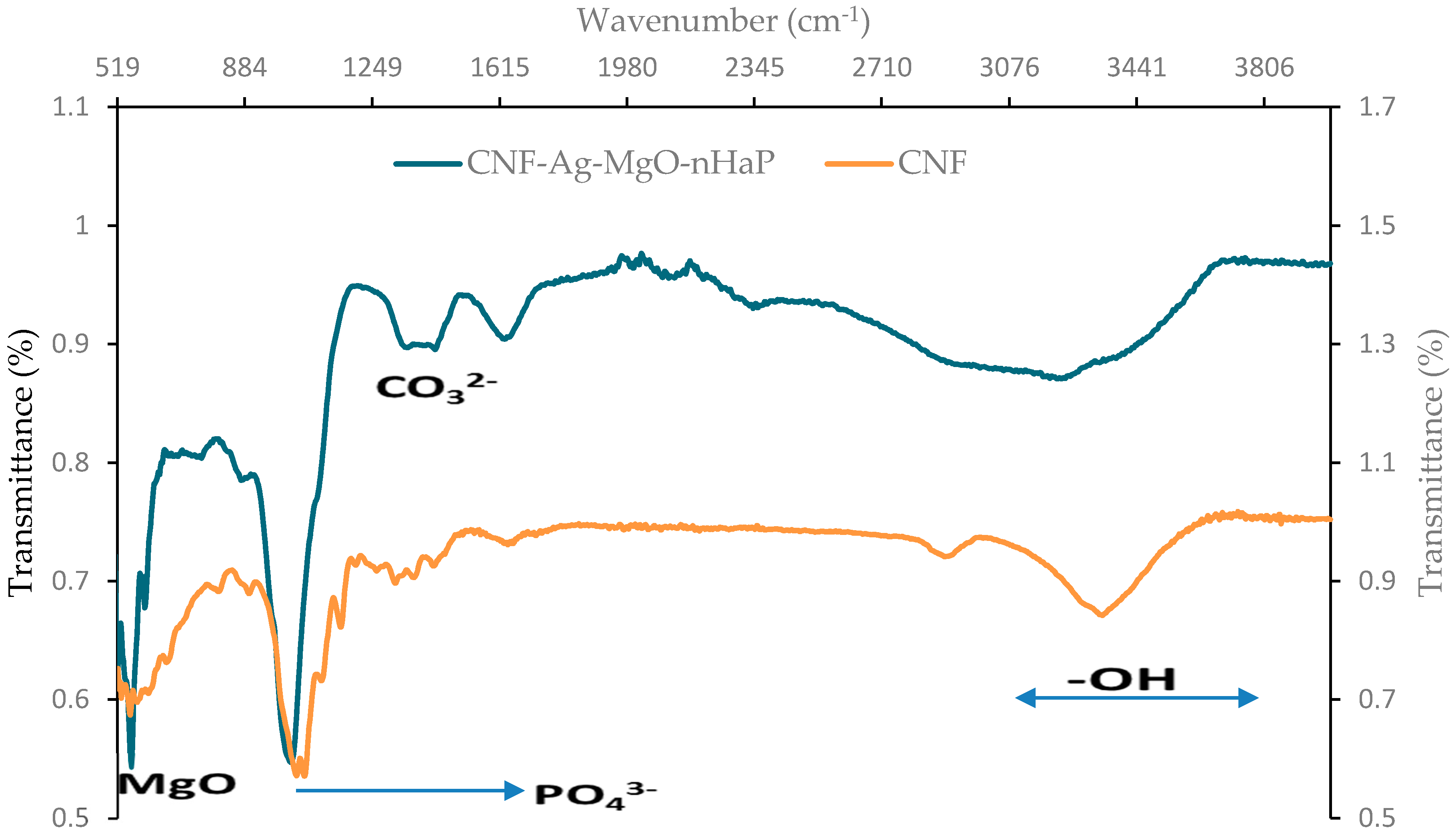 Polymers 14 00890 g003