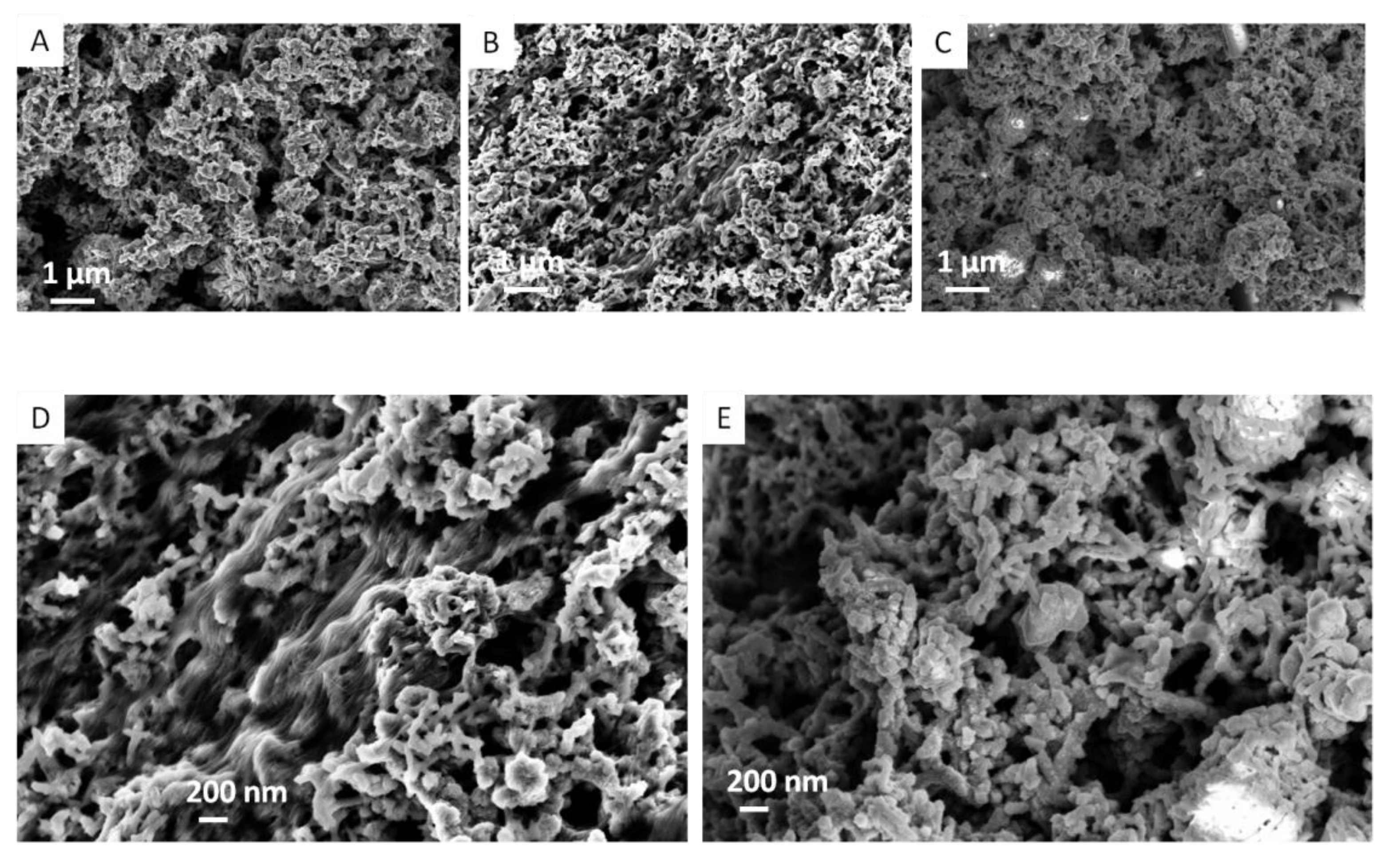 Polymers 14 00891 g004 Polymers 14 00891 g004