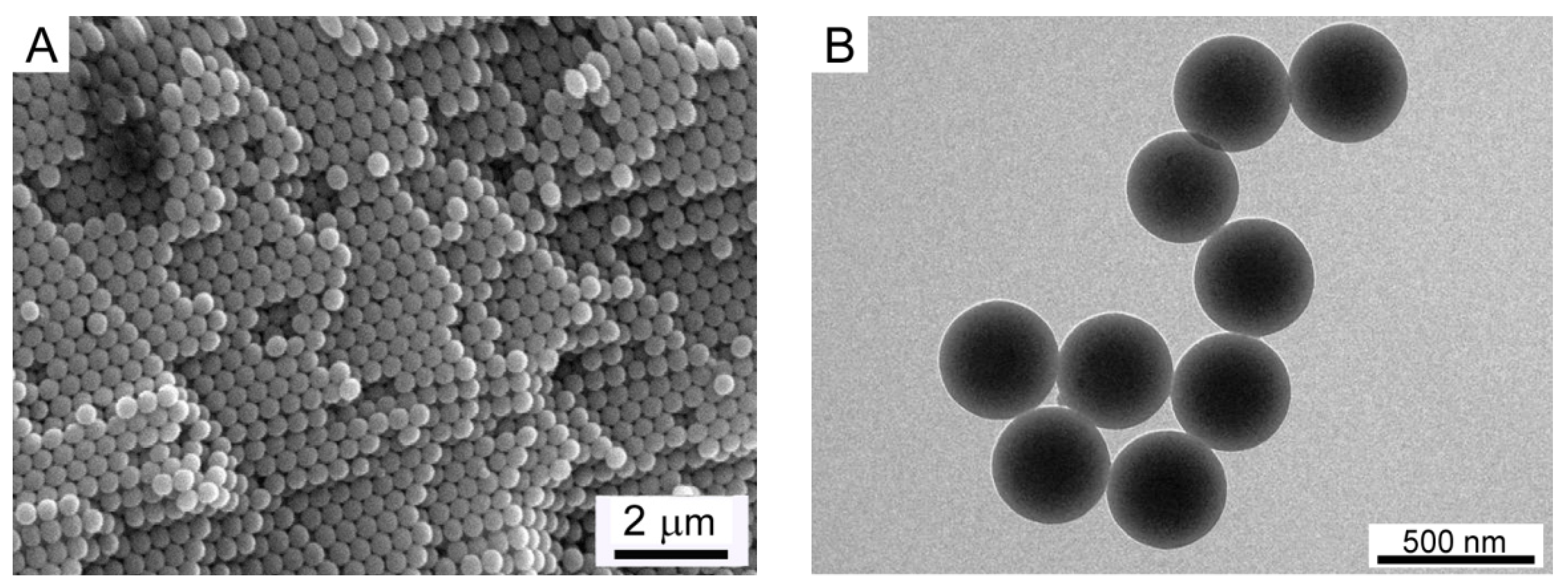 Polymers 14 00892 g001a