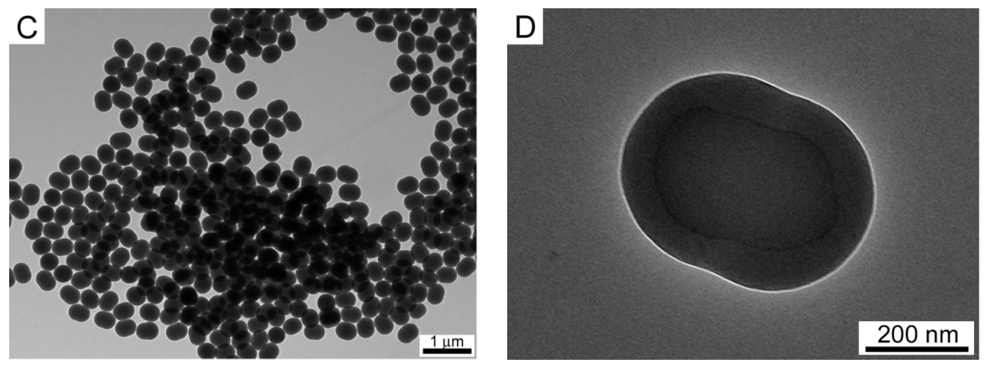 Polymers 14 00892 g001b