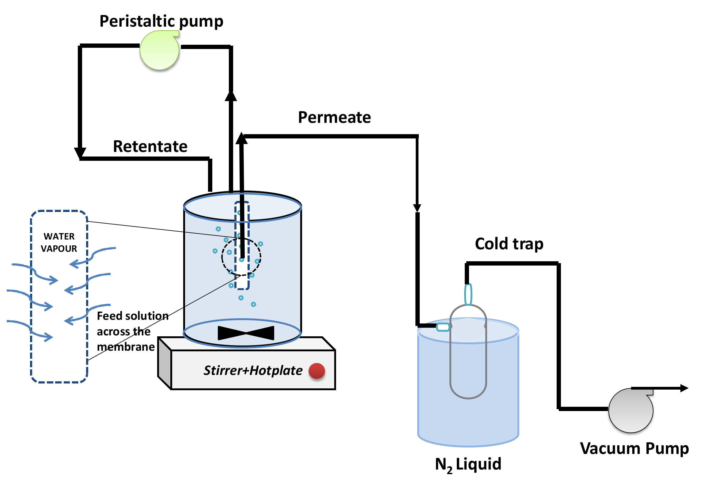 Polymers 14 00895 g001