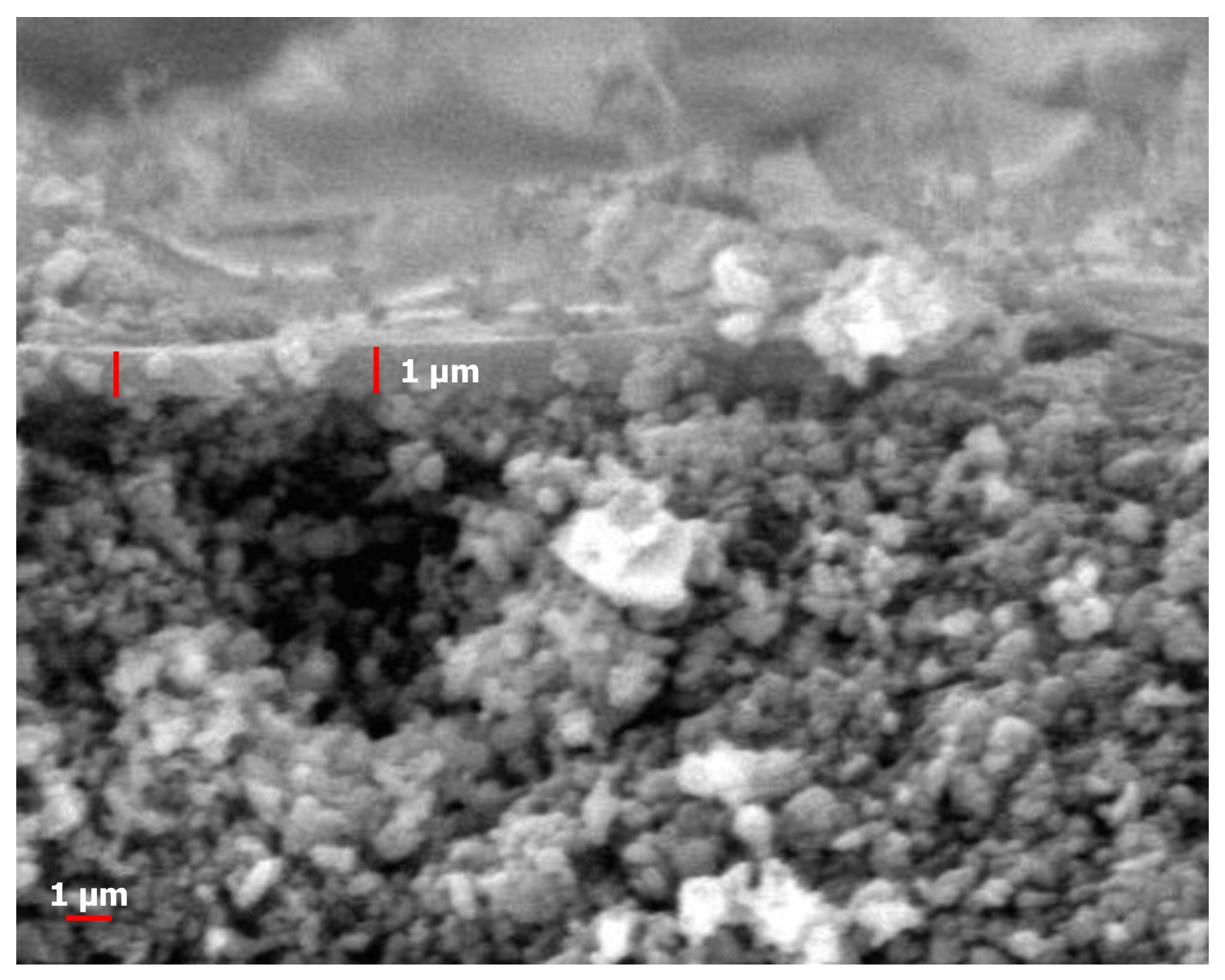 Polymers 14 00895 g003
