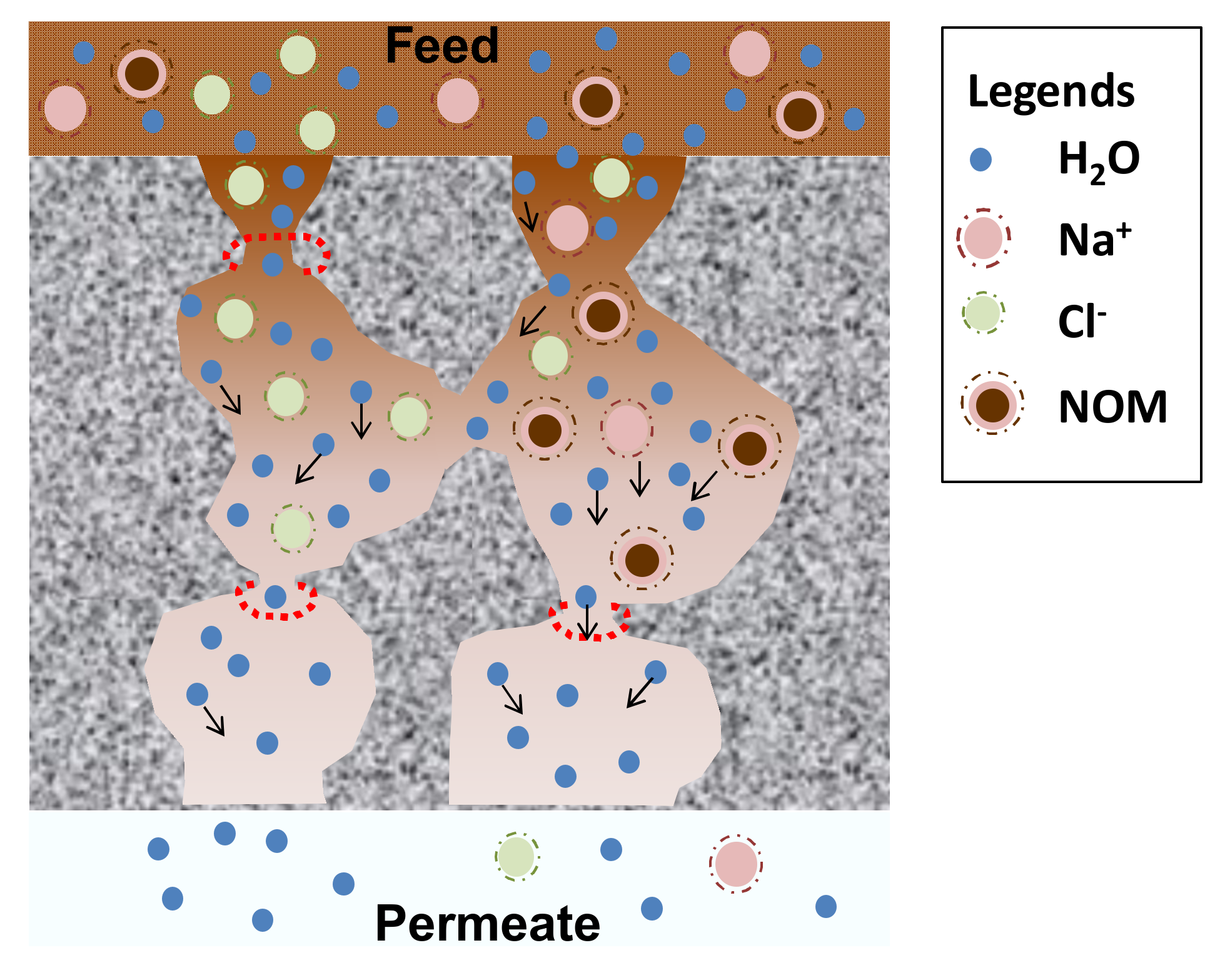 Polymers 14 00895 g005