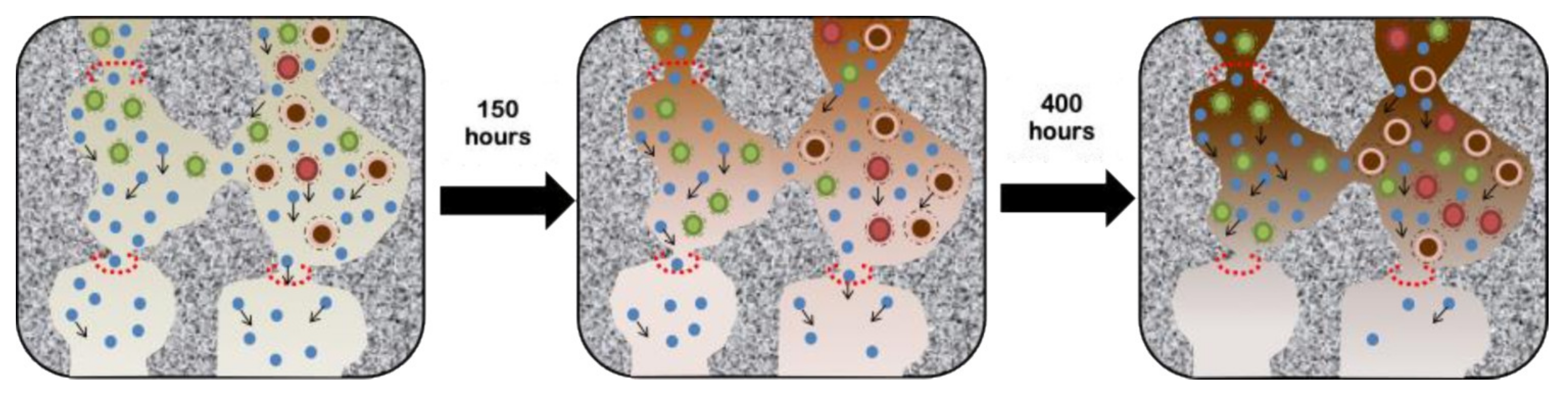Polymers 14 00895 g007