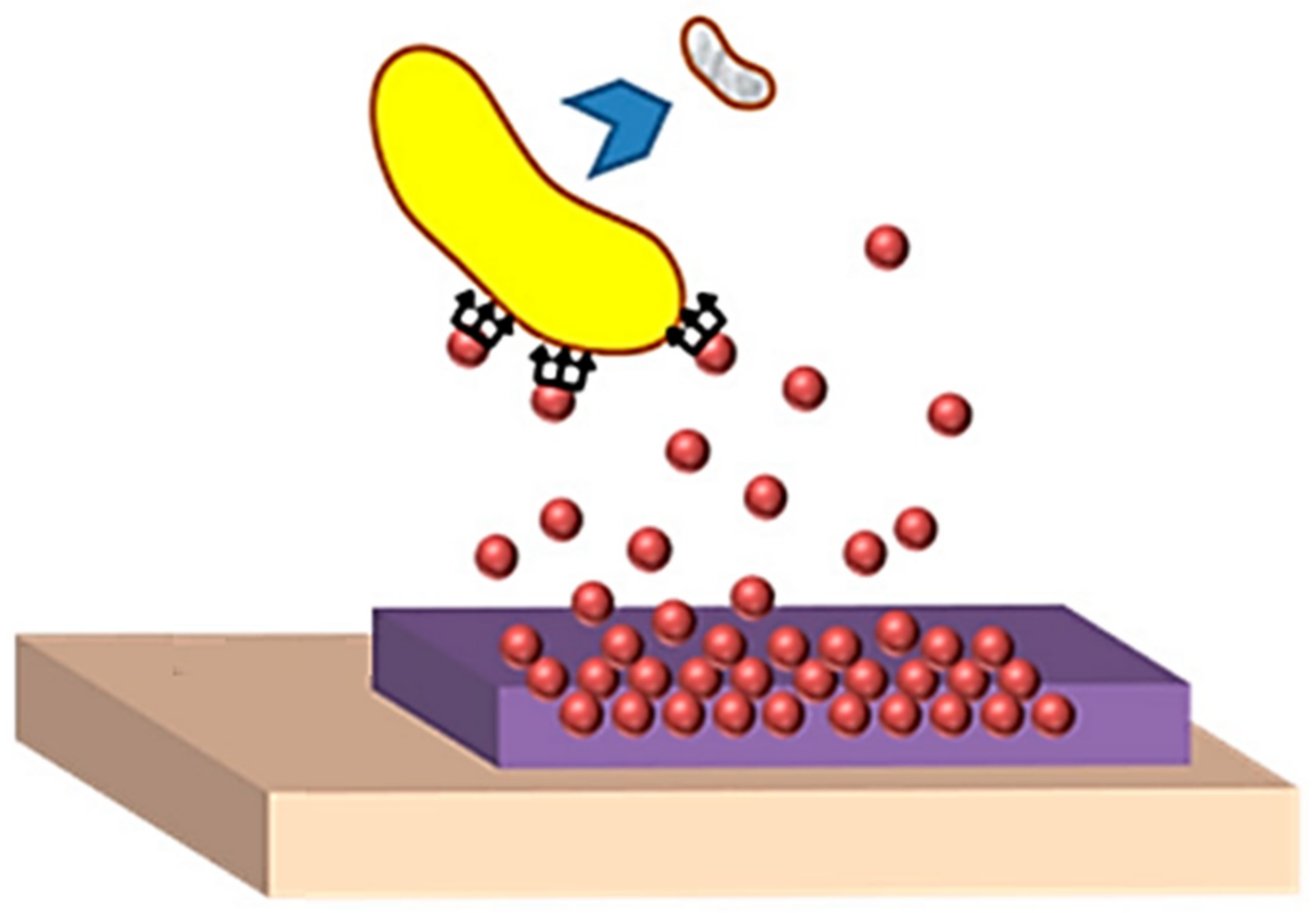 Polymers 14 00899 g002
