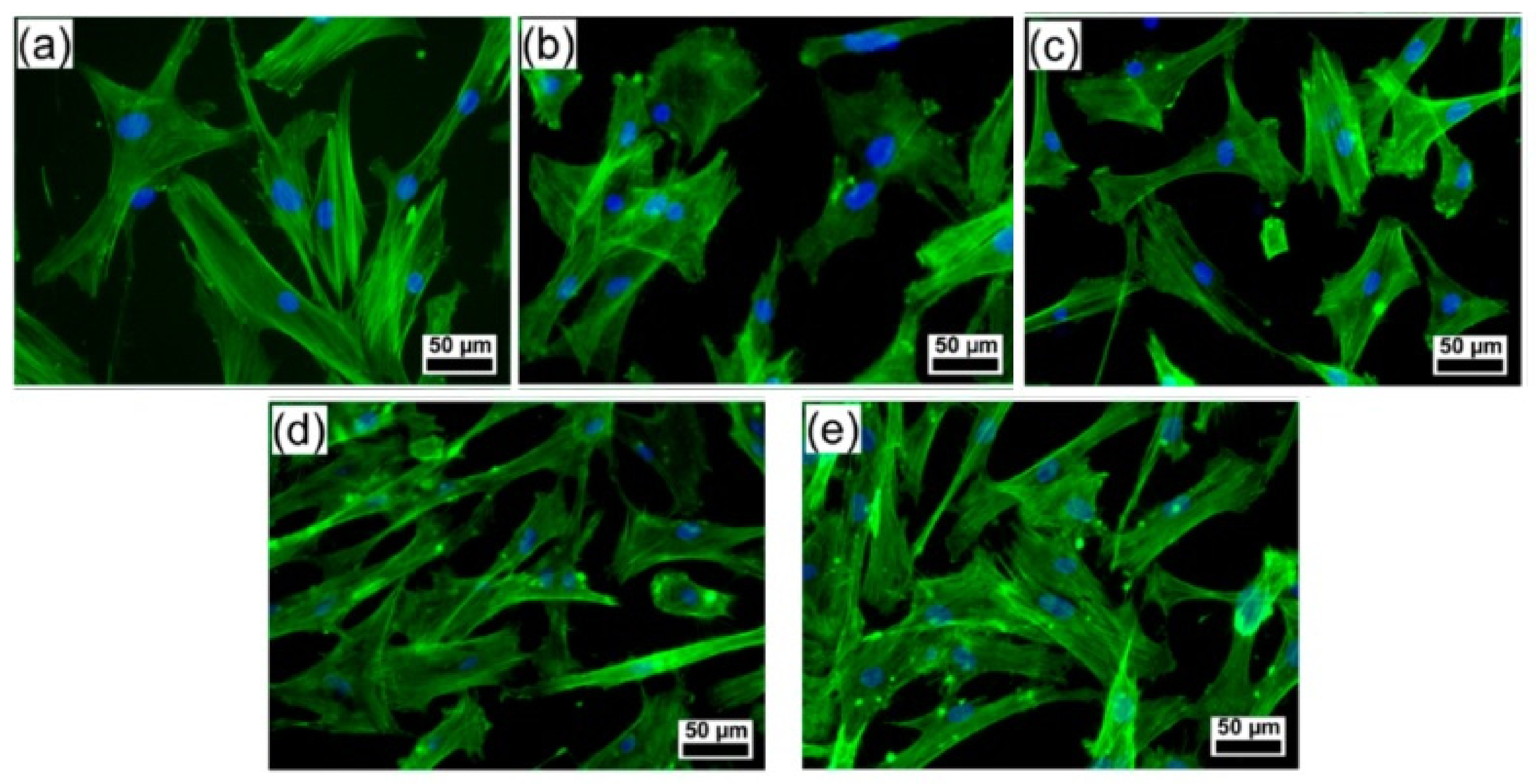 Polymers 14 00899 g006
