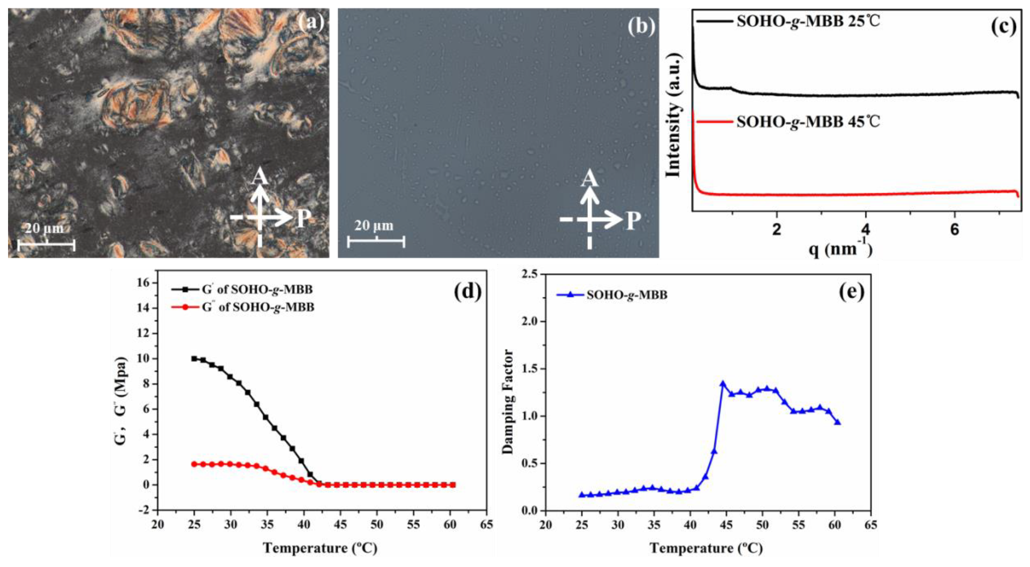 Polymers 14 00903 g003 550