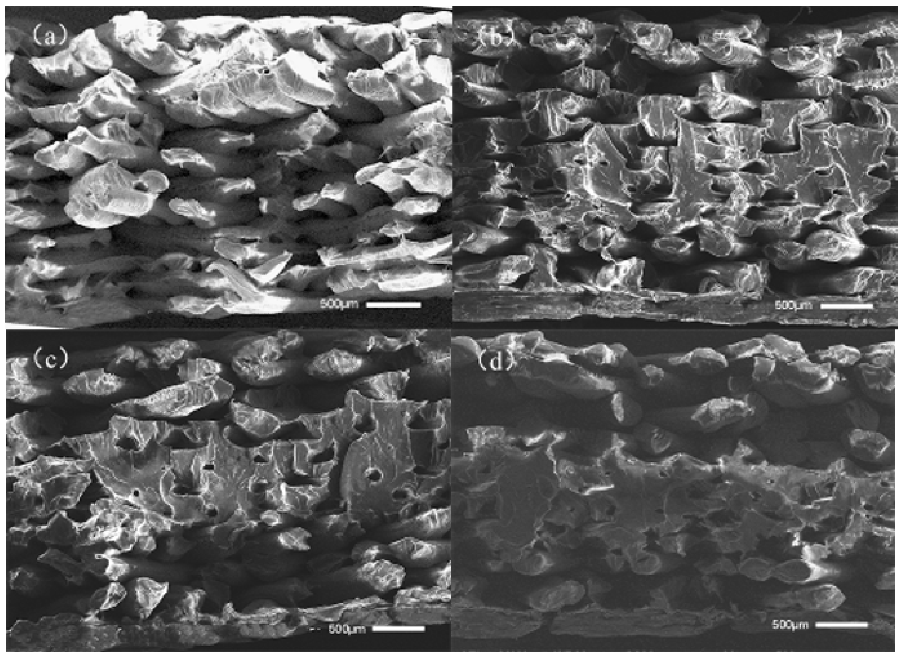 Polymers 14 00904 g016 Polymers 14 00904 g016
