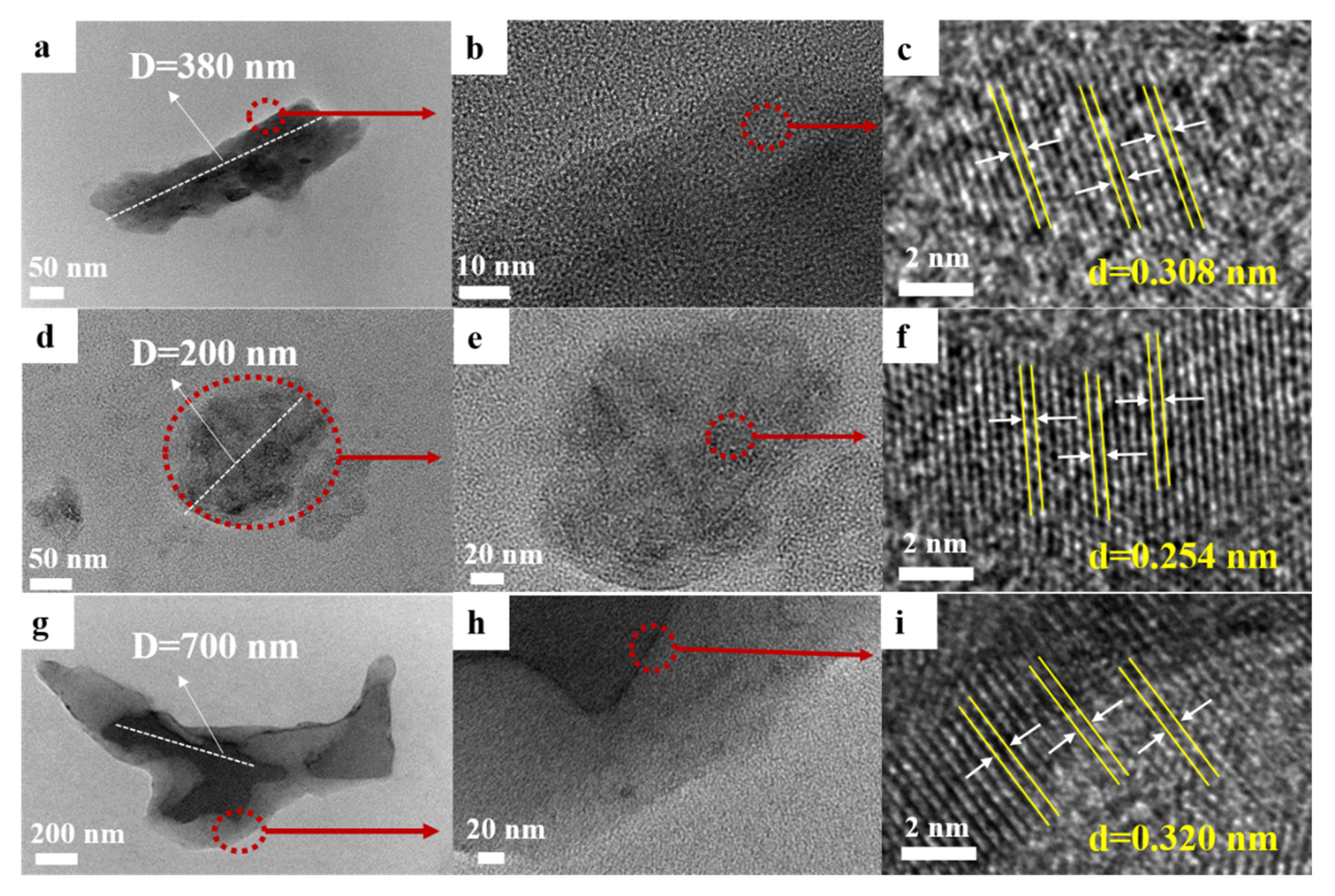 Polymers 14 00905 g008