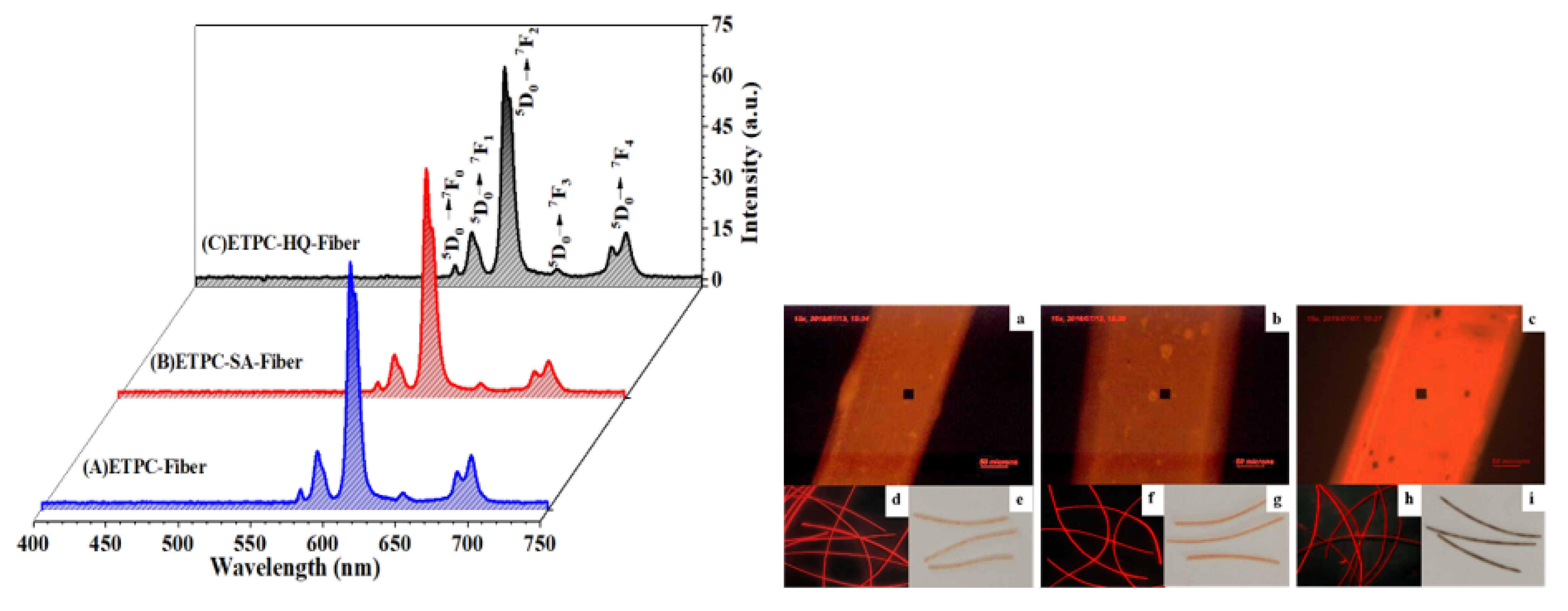 Polymers 14 00905 g009
