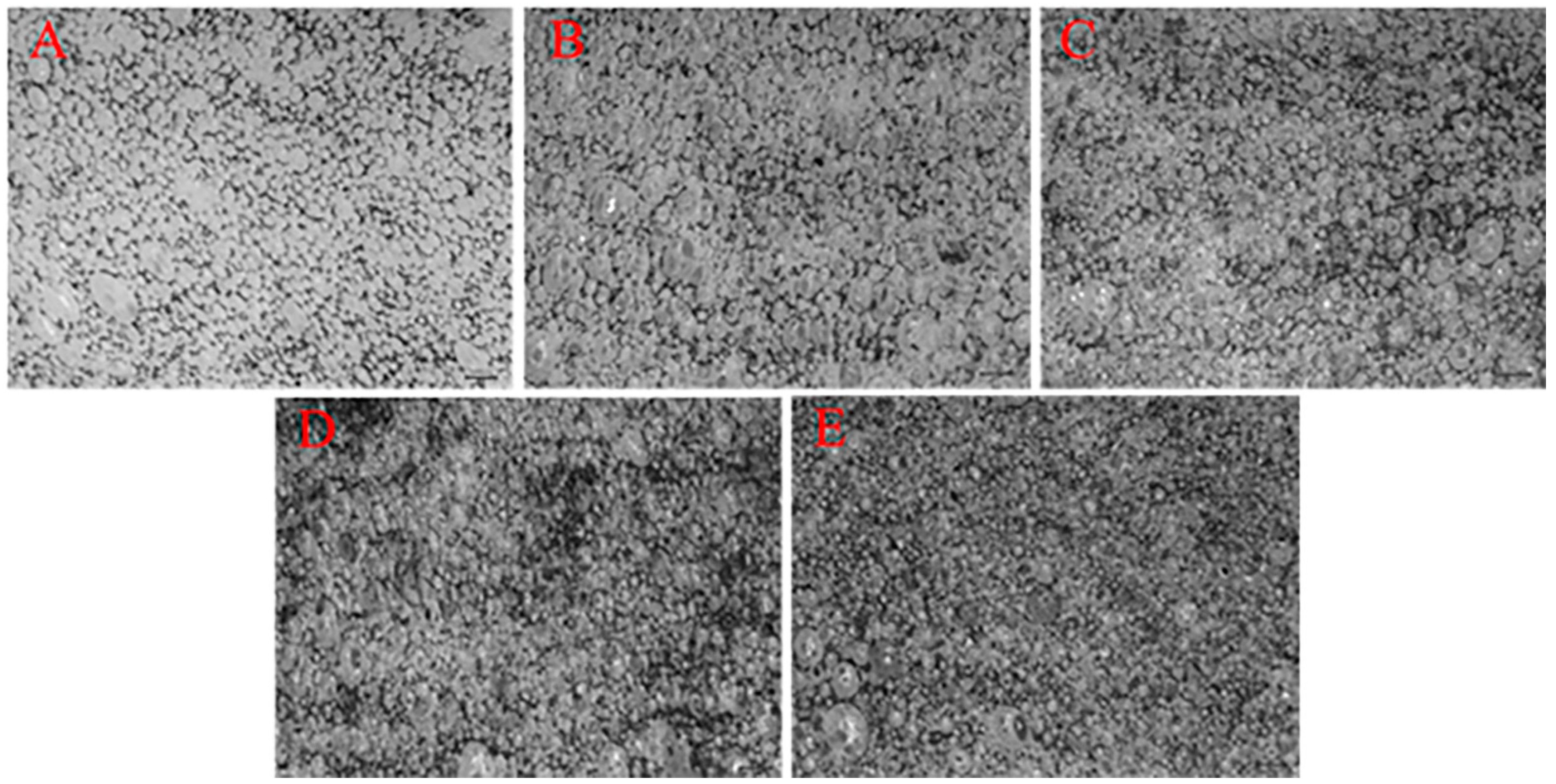 Polymers 14 00913 g003
