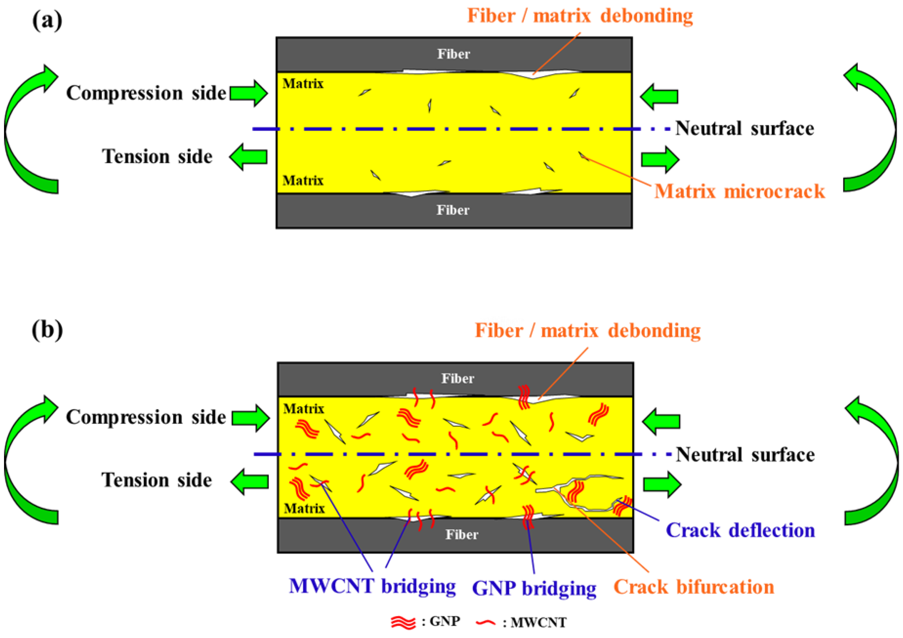 Polymers 14 00918 g017