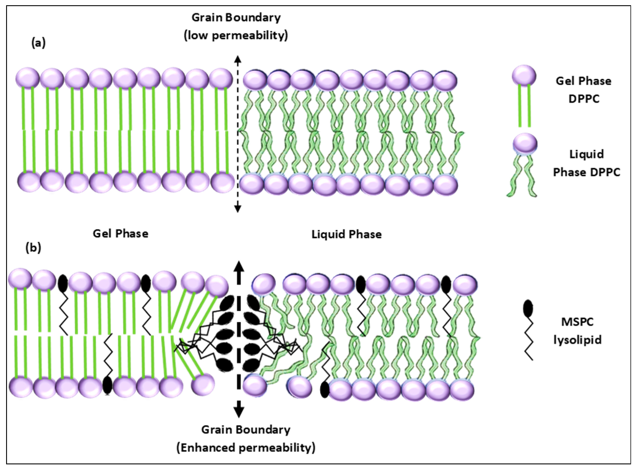 Polymers 14 00925 g005 550