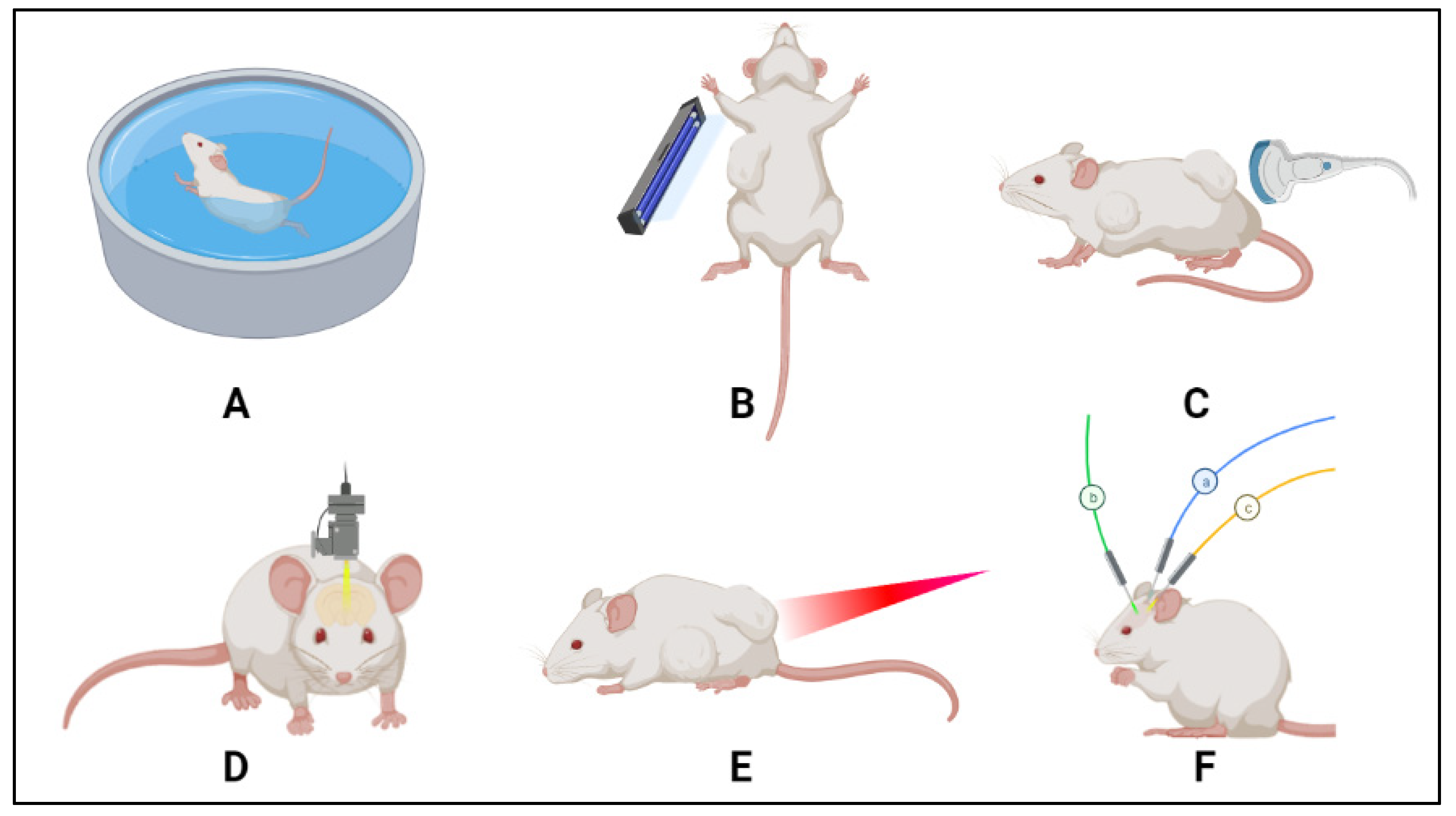 Polymers 14 00925 g009 550
