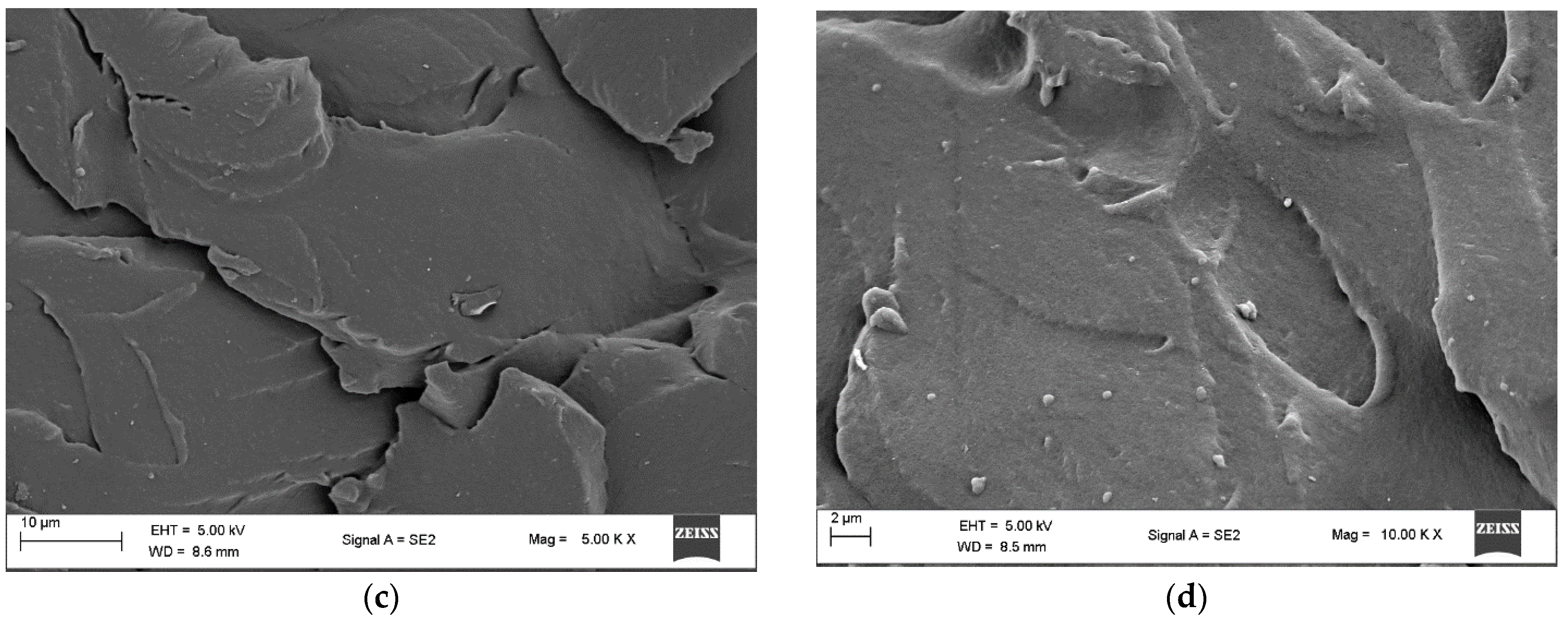 Polymers 14 00928 g002b