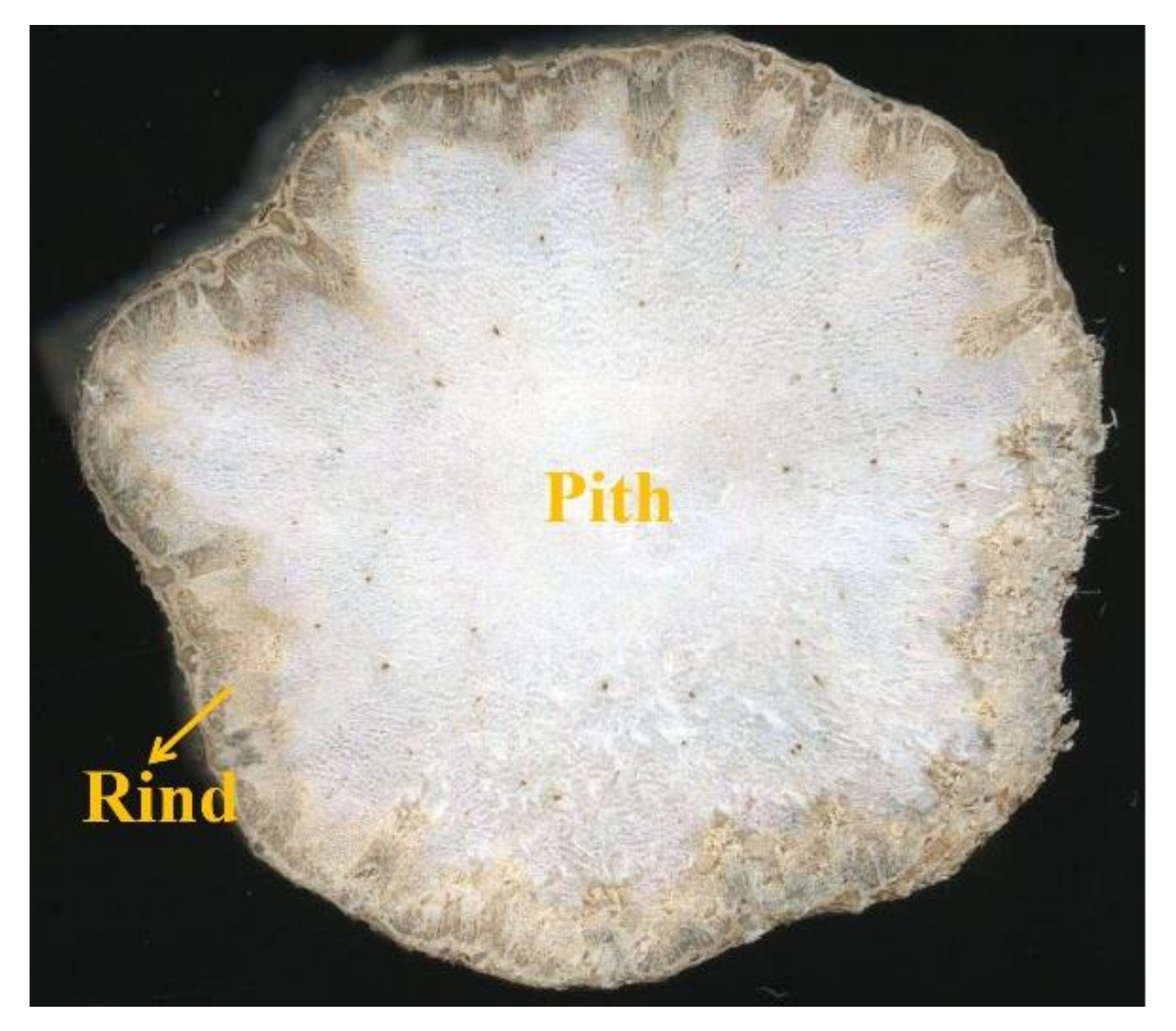 Polymers 14 00930 g001