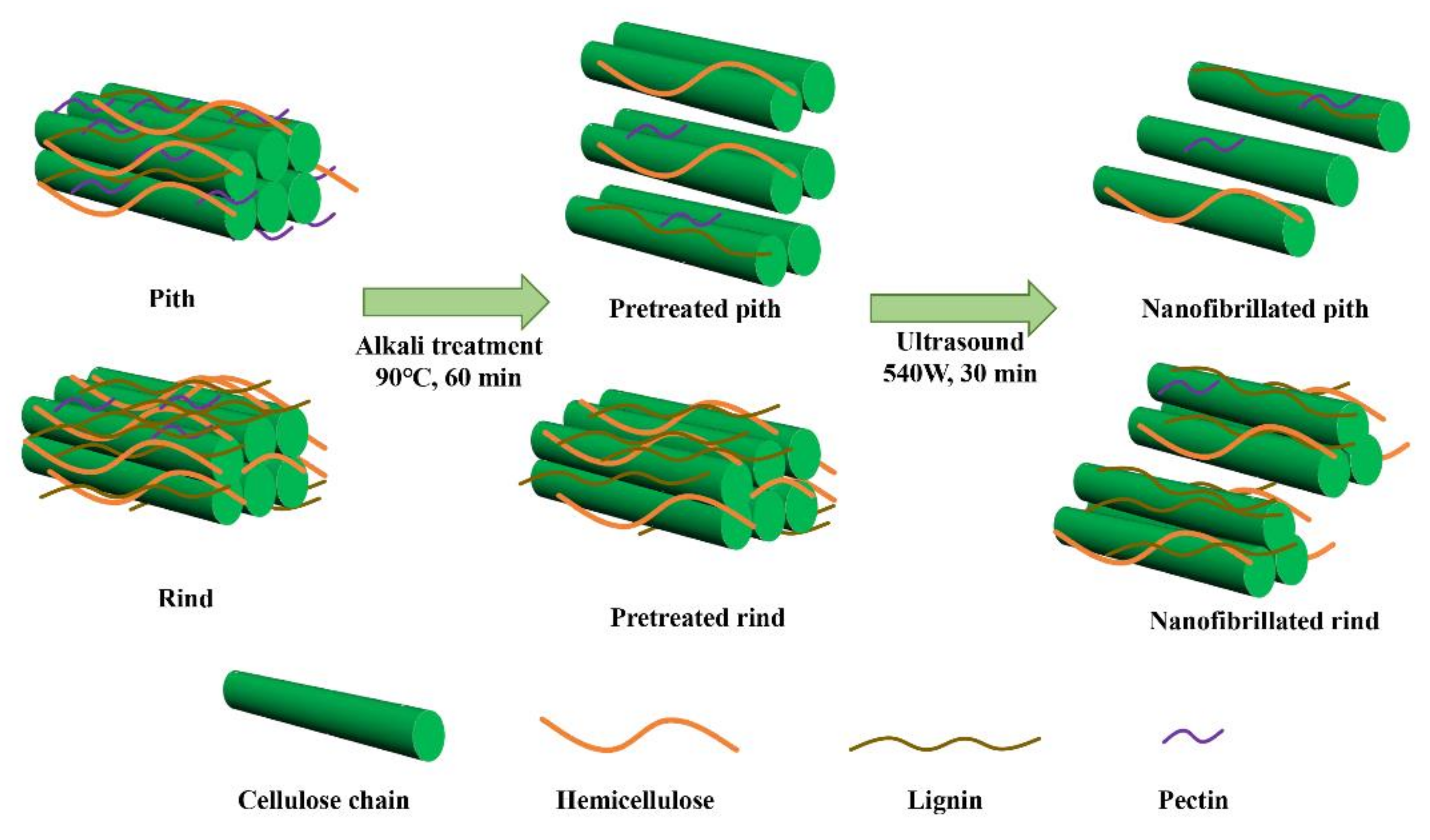 Polymers 14 00930 g002