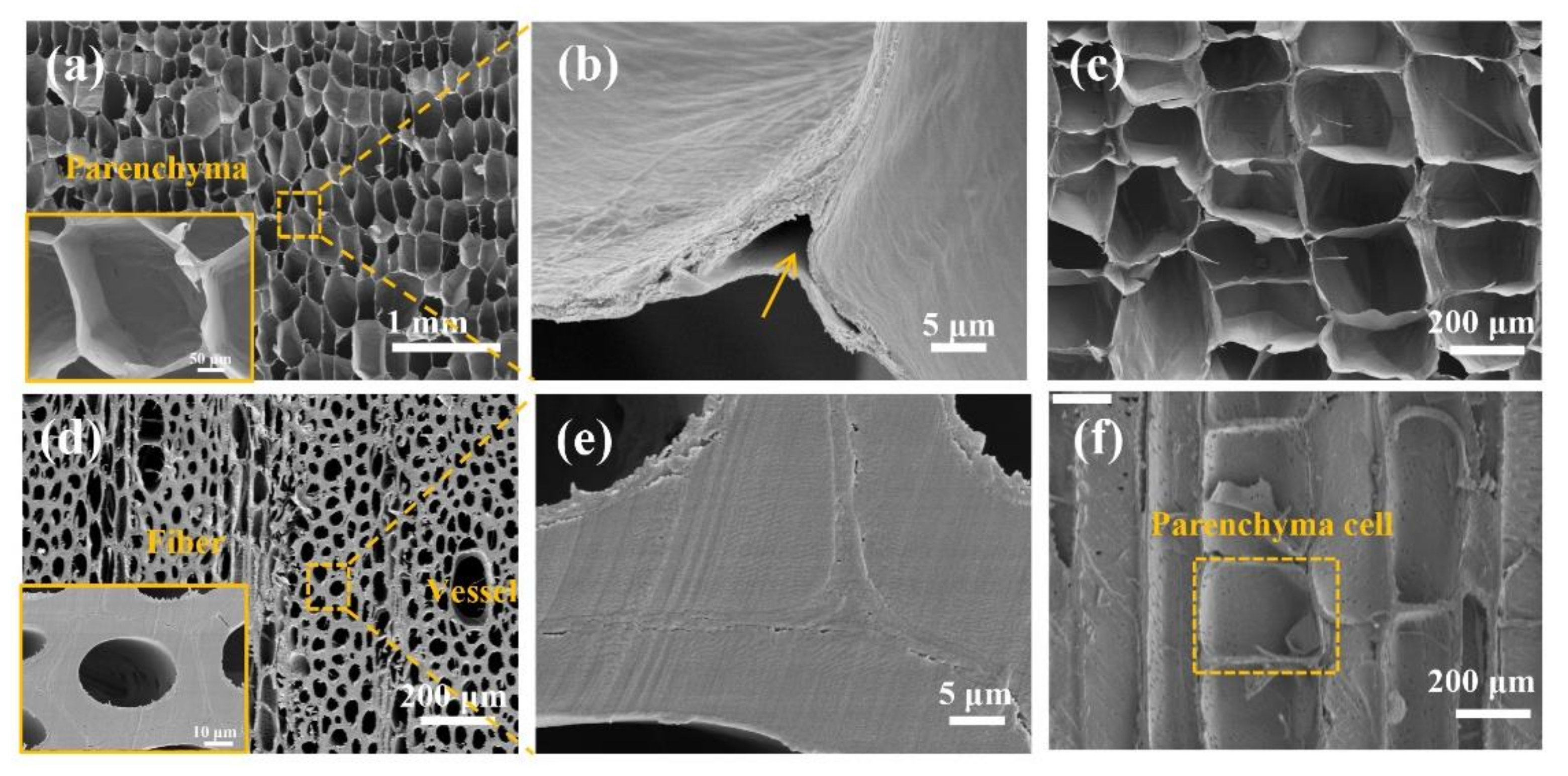 Polymers 14 00930 g003