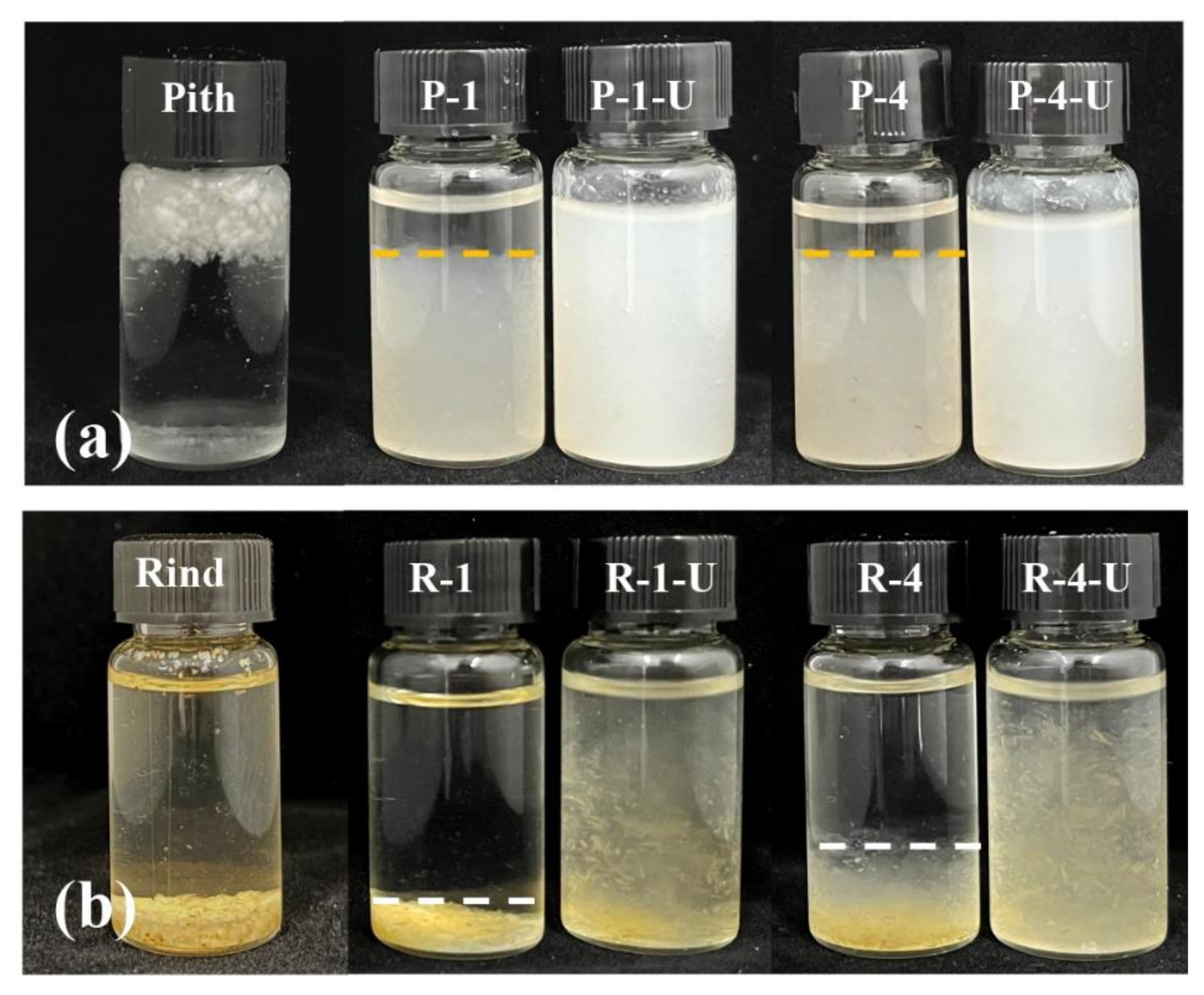 Polymers 14 00930 g009