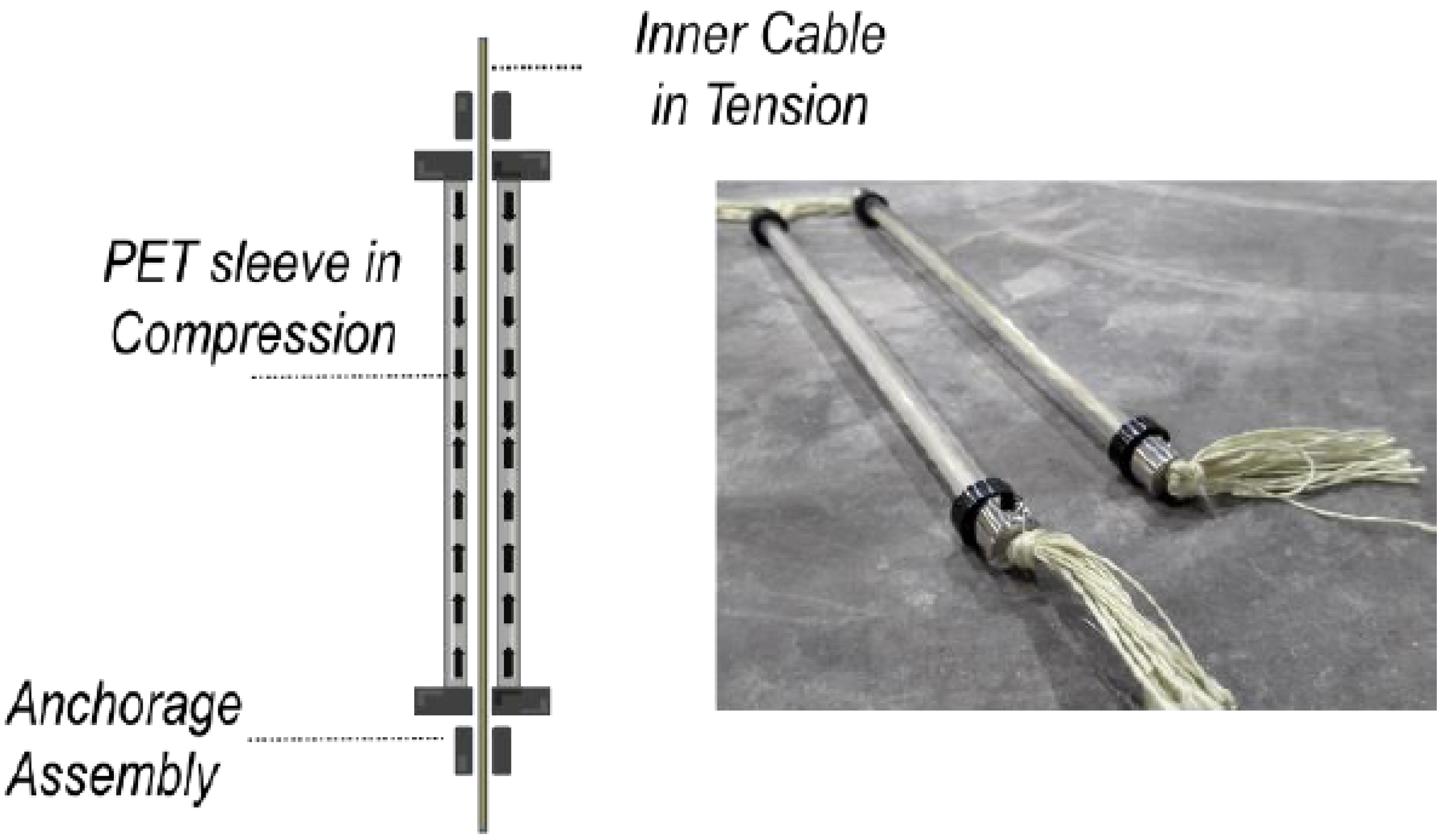 Polymers 14 00933 g007 550