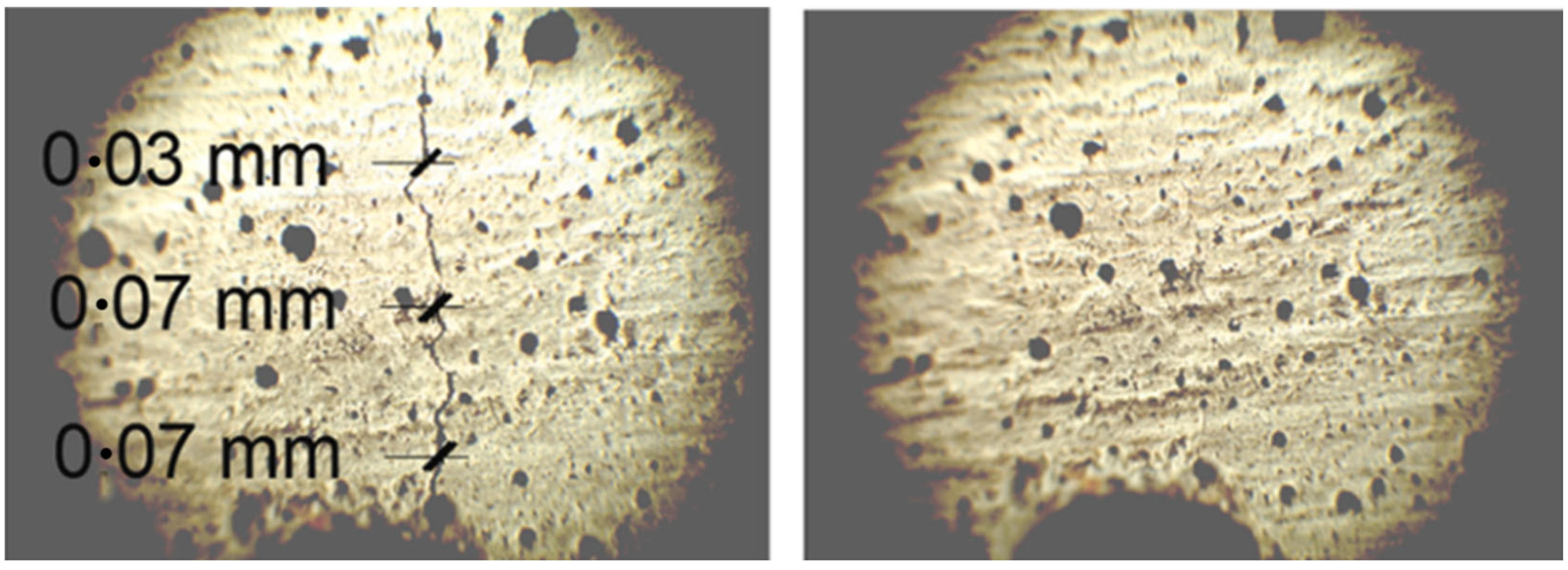 Polymers 14 00933 g008 550