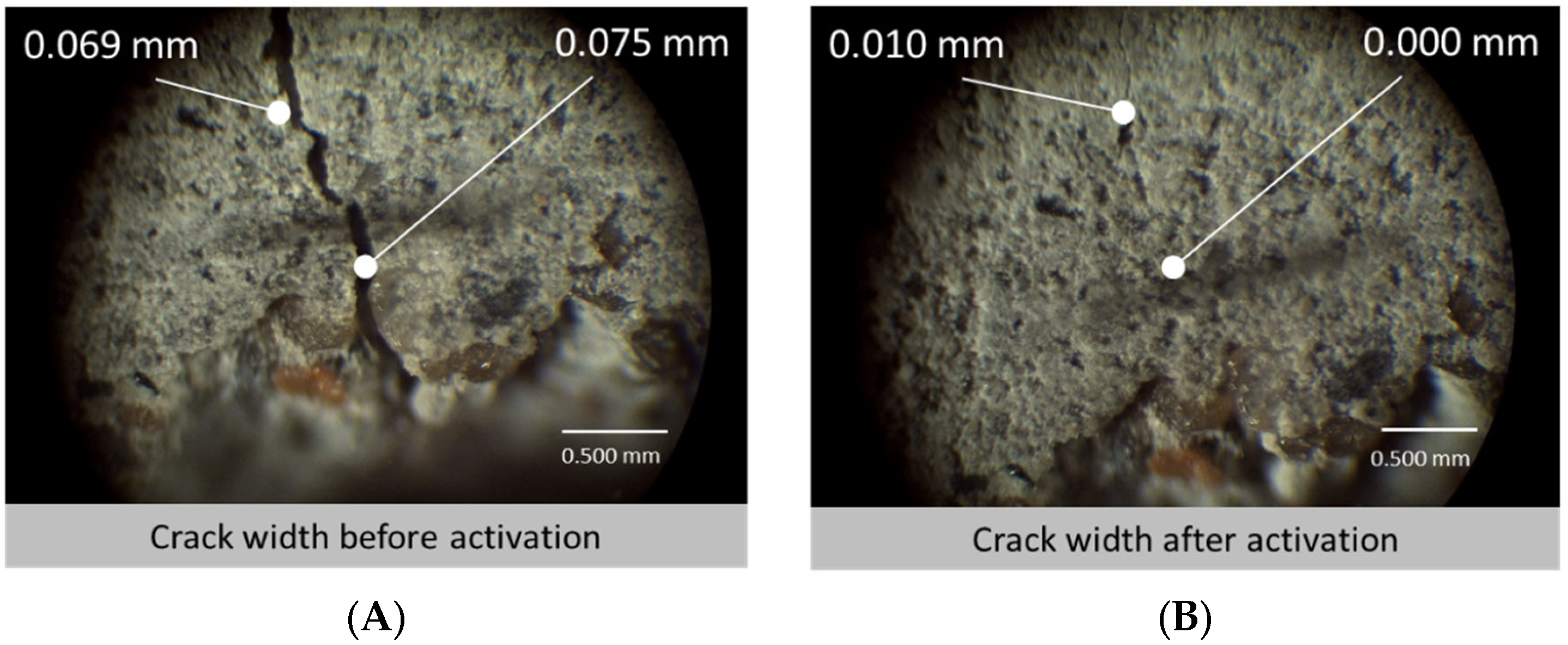 Polymers 14 00933 g010 550