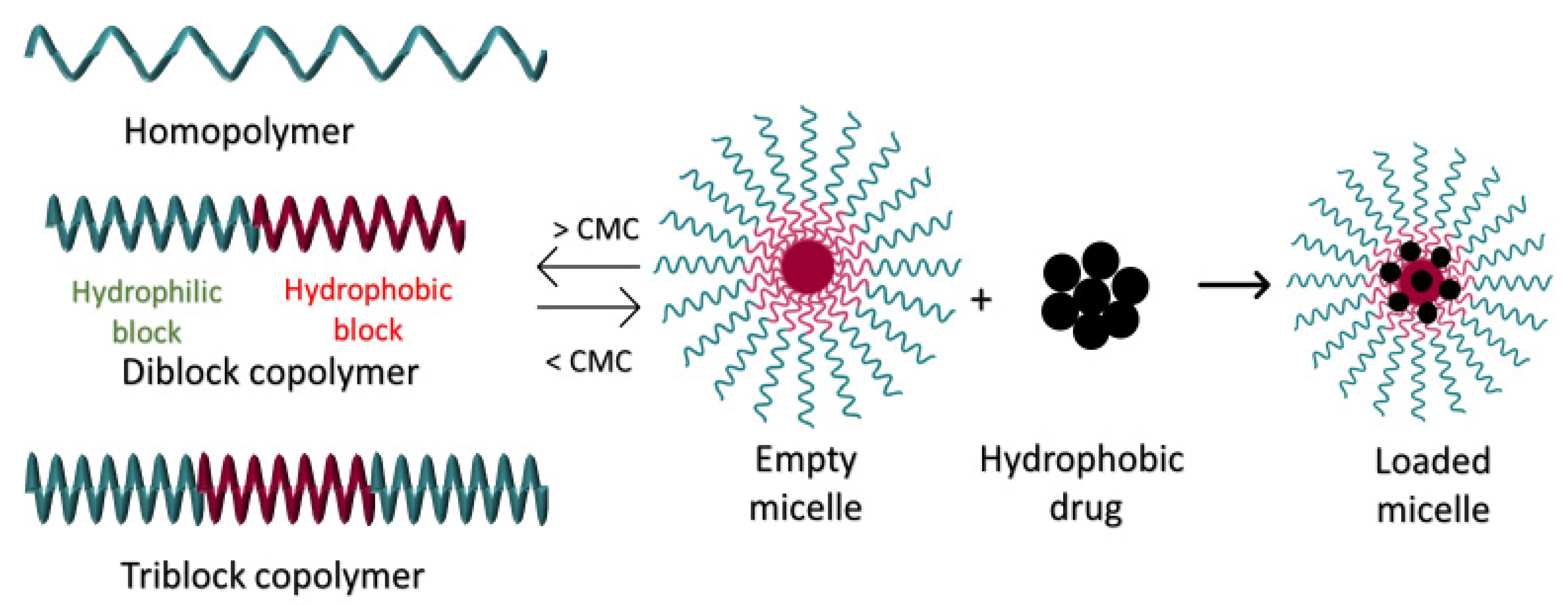 Polymers 14 00936 g004 550