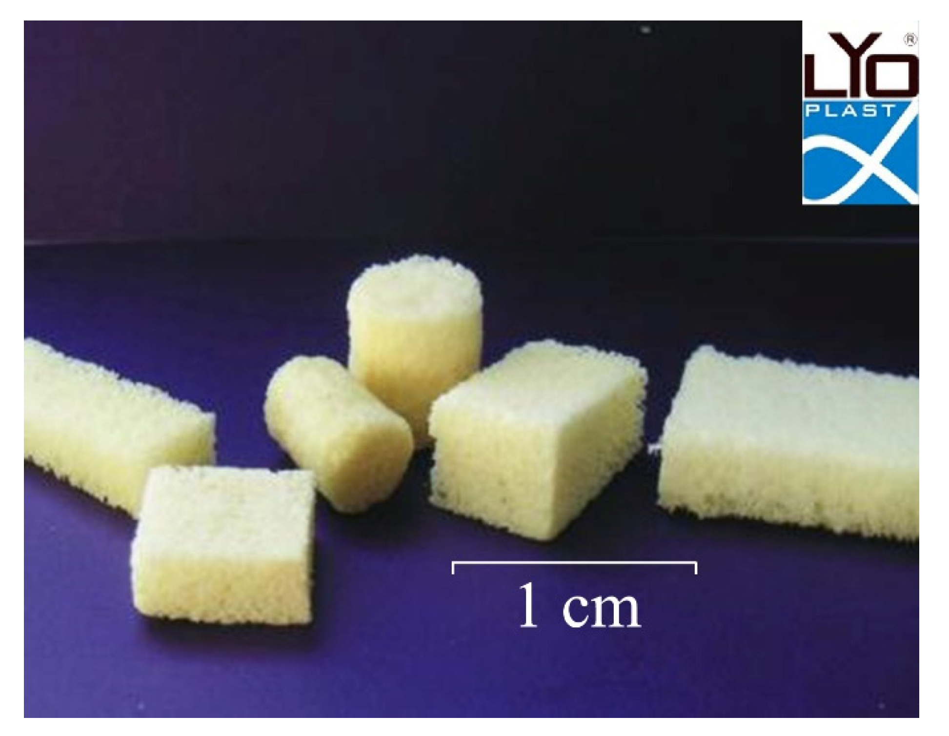 Polymers 14 00941 g001