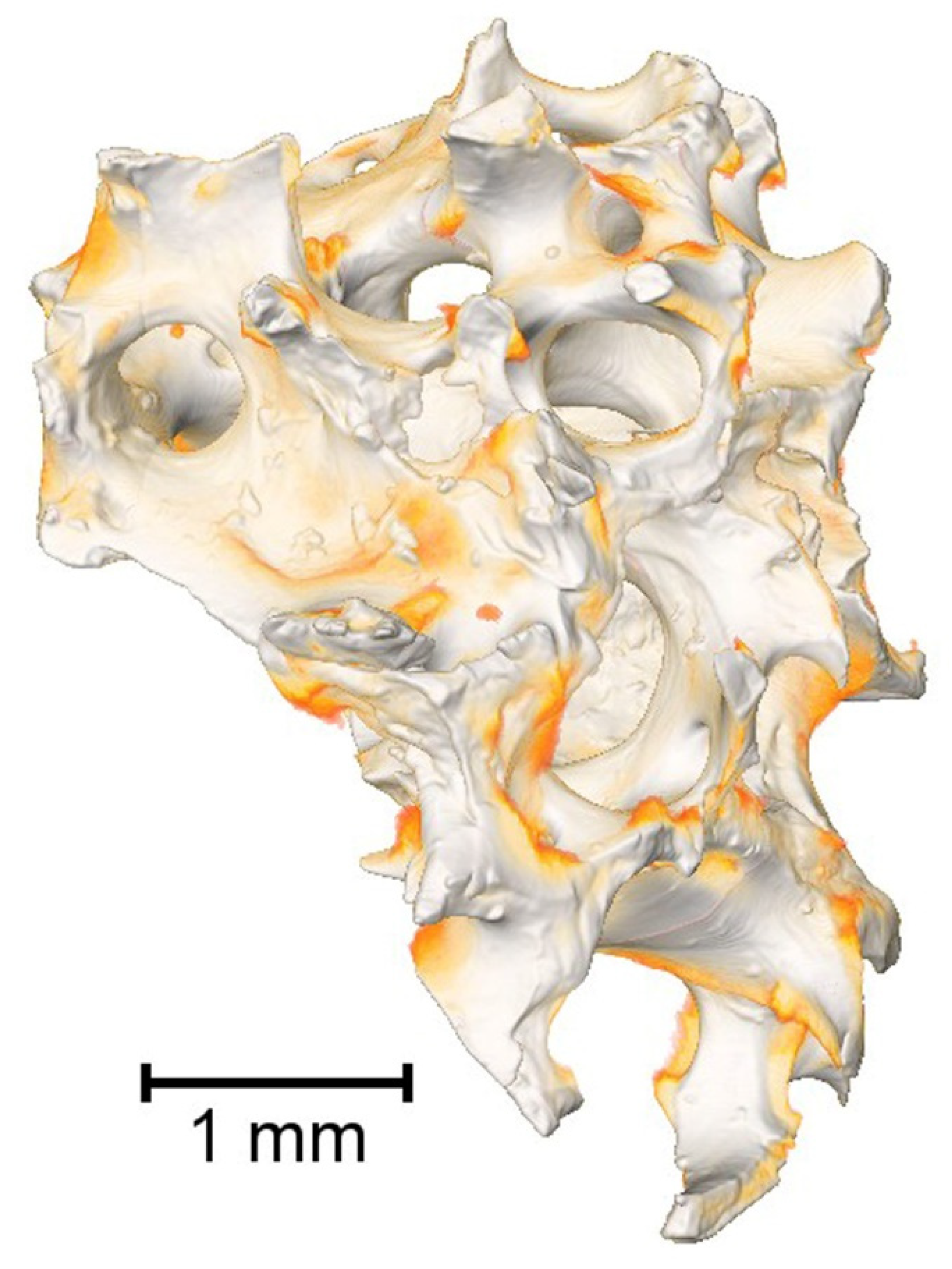 Polymers 14 00941 g003