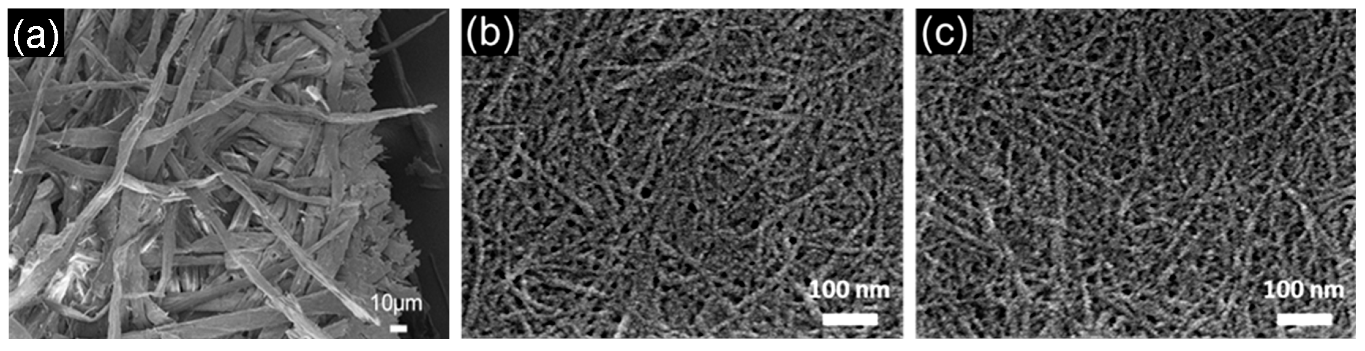 Polymers 14 00946 g003 550